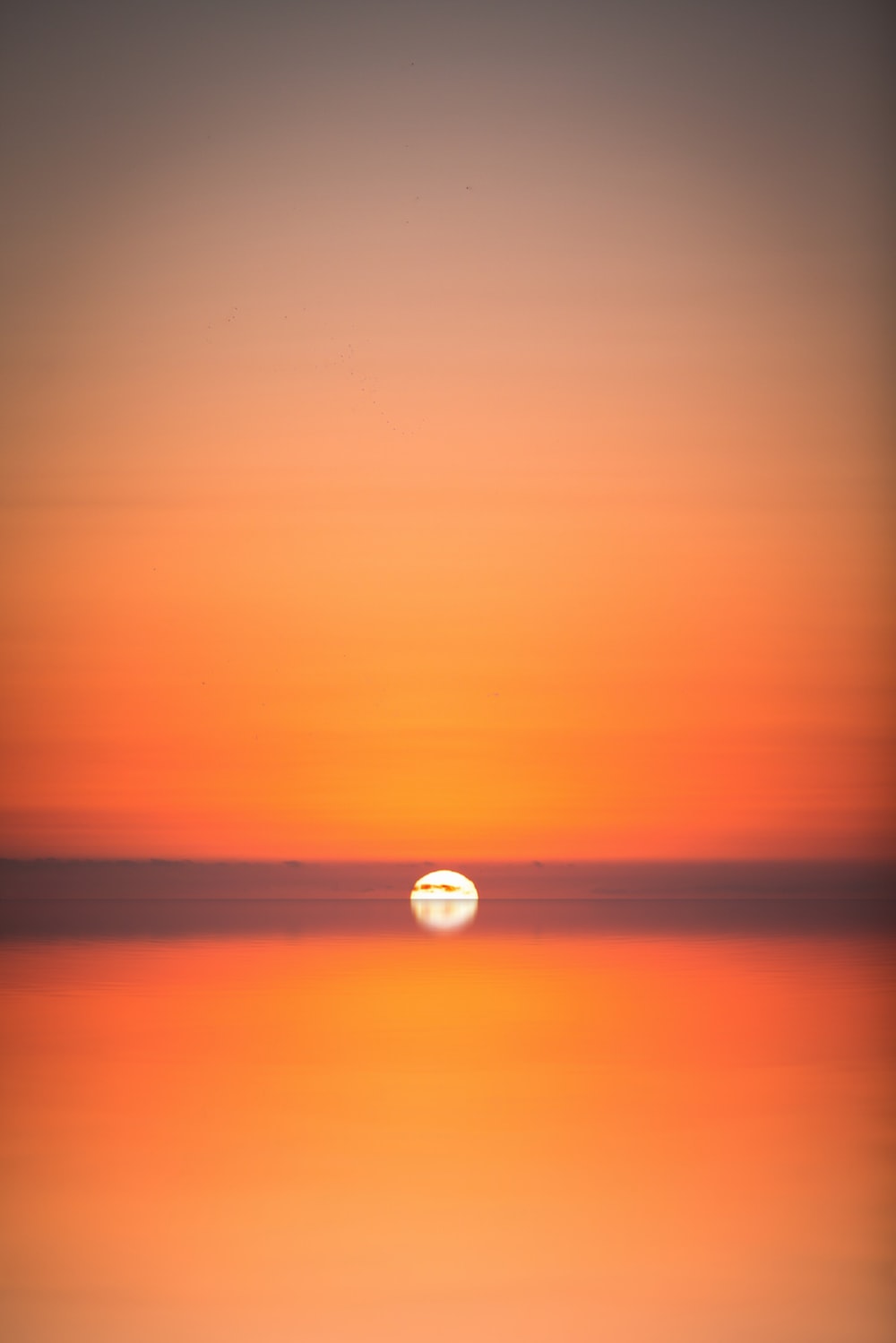 Orange Sunset Wallpapers