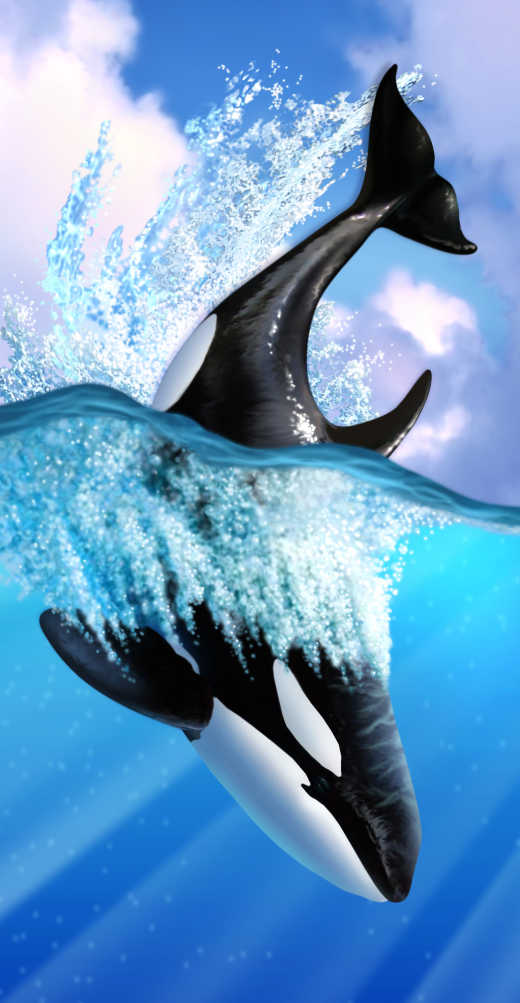 Orca Phone Wallpapers