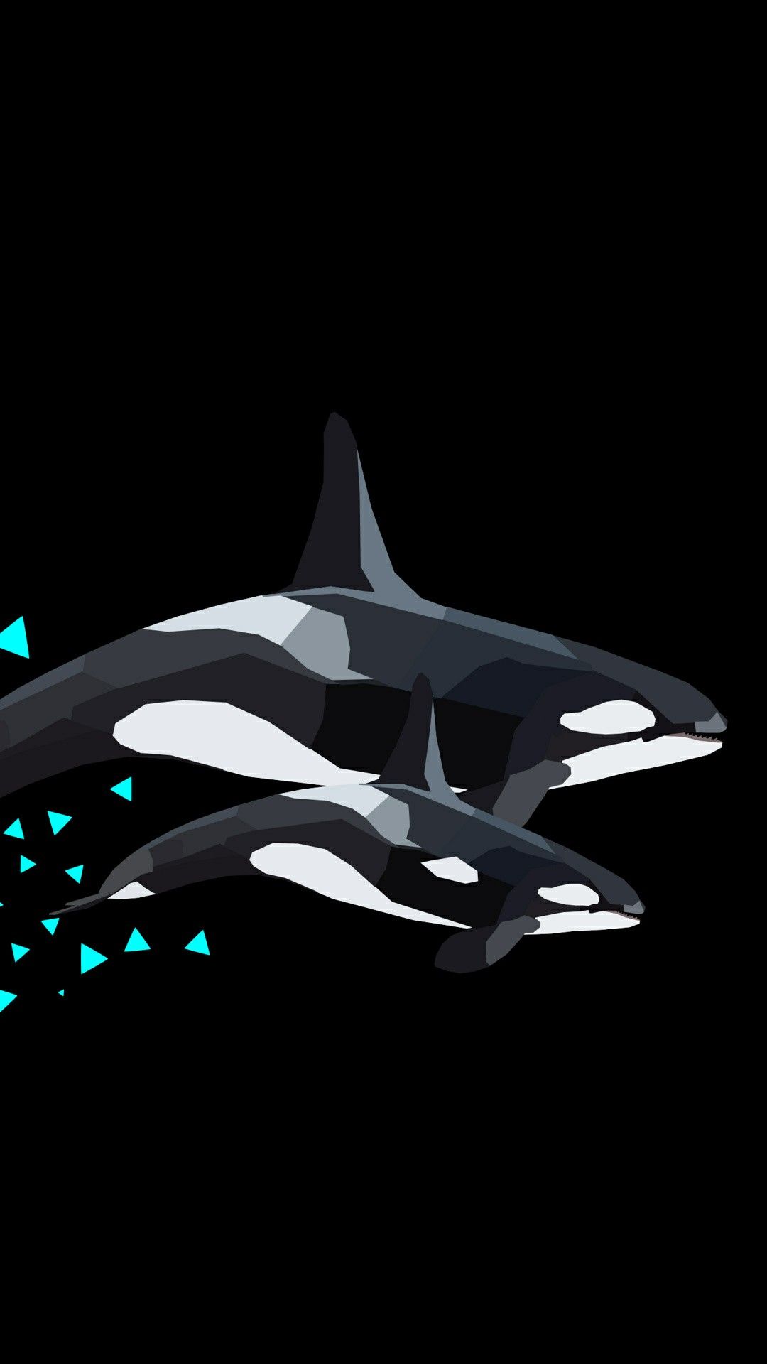Orca Phone Wallpapers