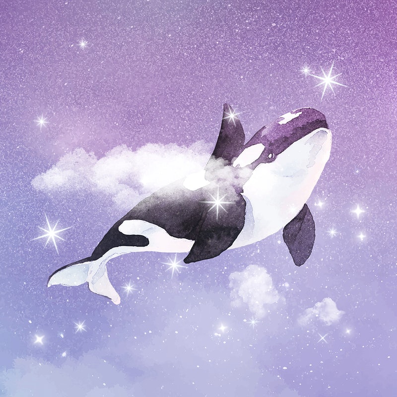 Orca Wallpapers