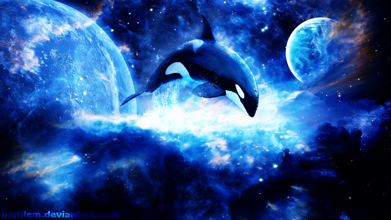 Orca Wallpapers