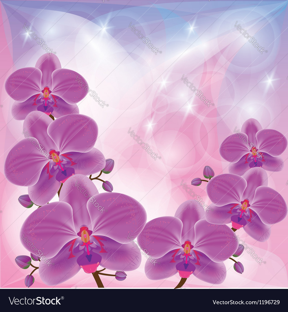 Orchids Background