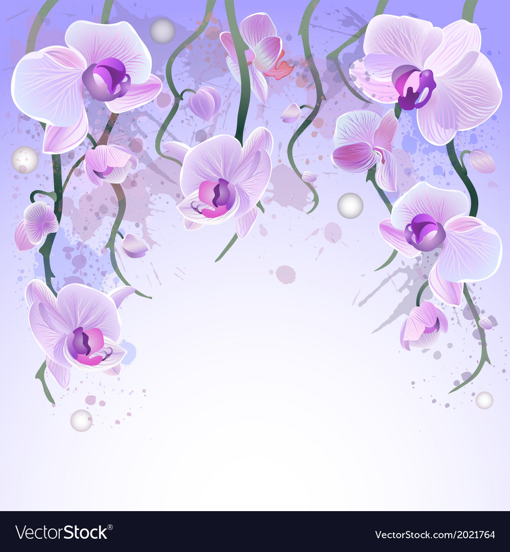 Orchids Background