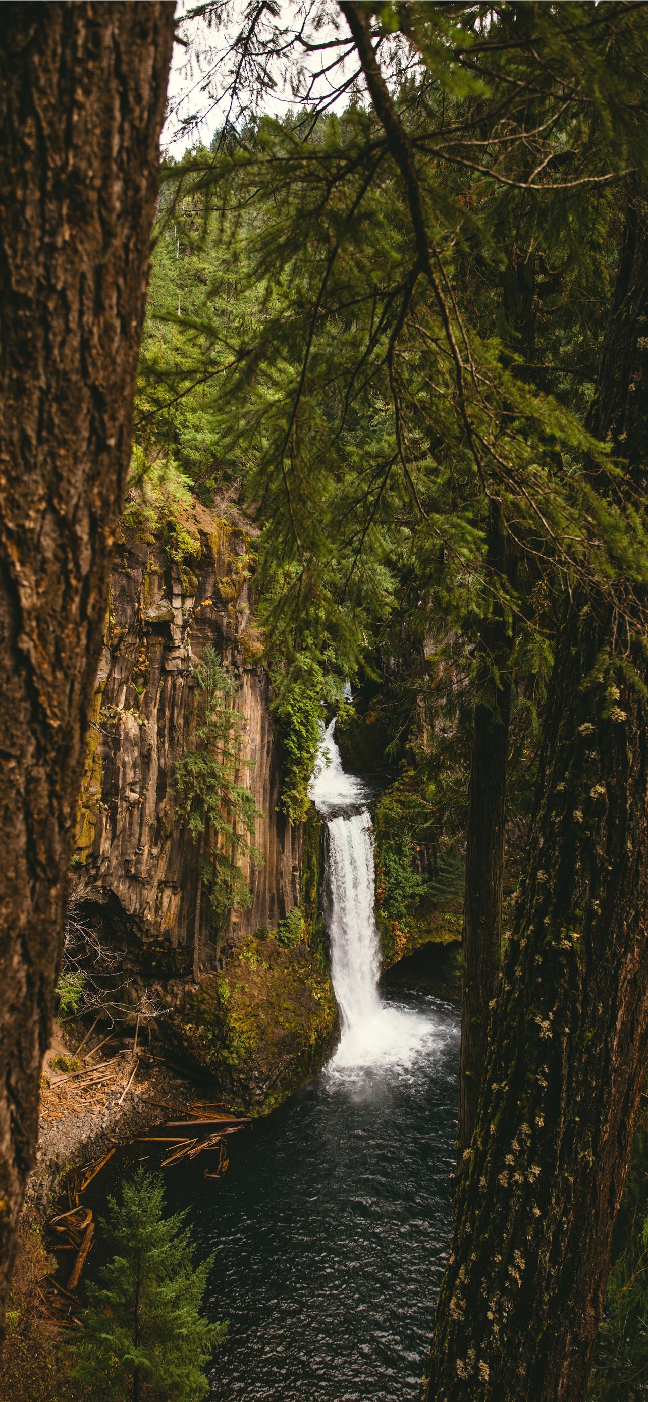 Oregon Iphone Wallpapers