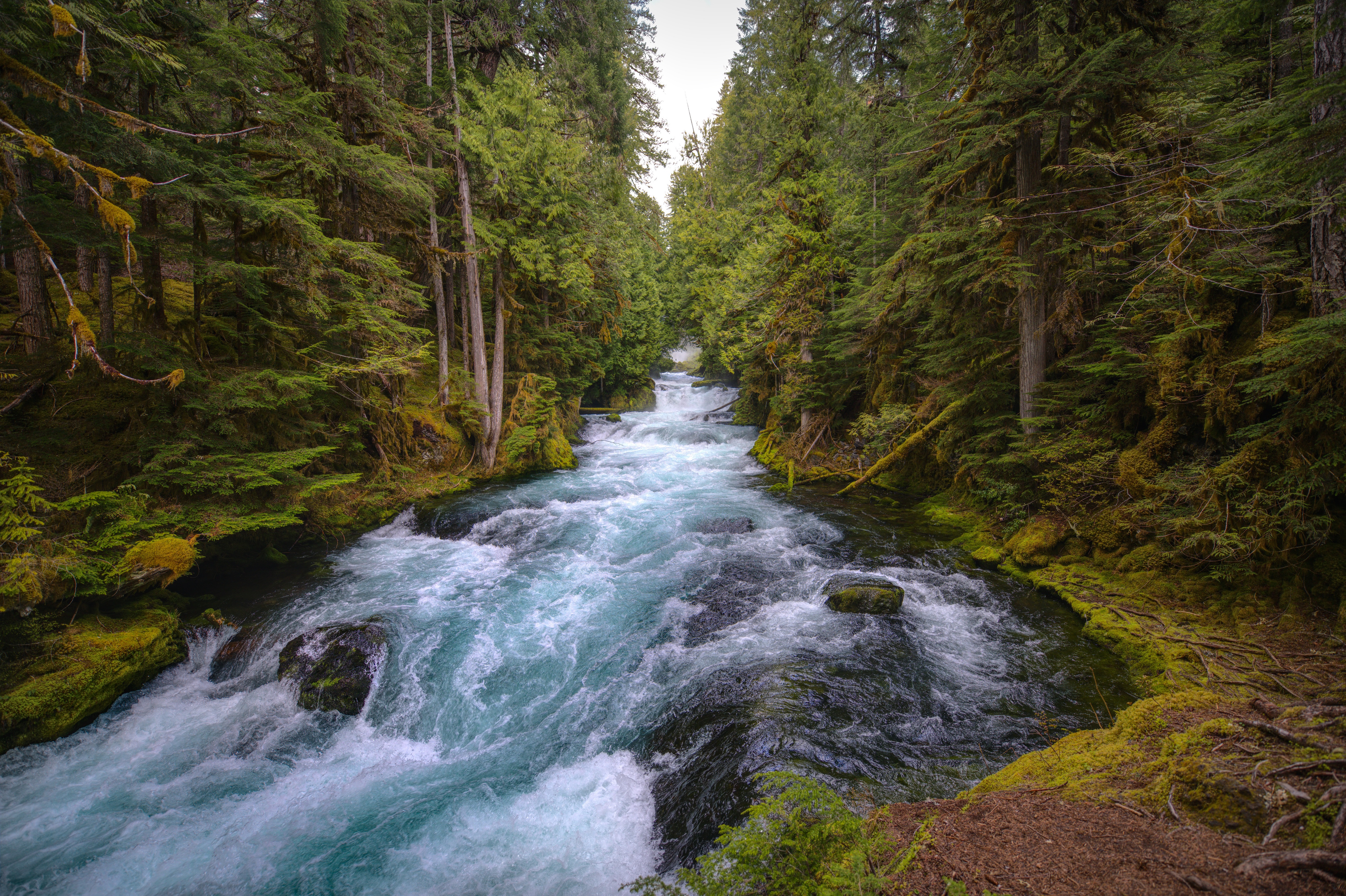 Oregon Wallpapers