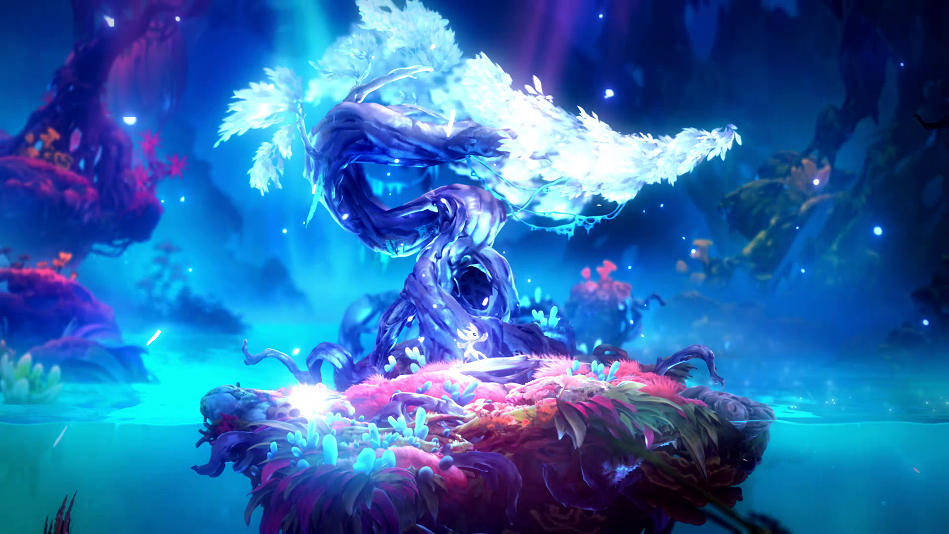 Ori and the Will of the Wisps Wallpapers