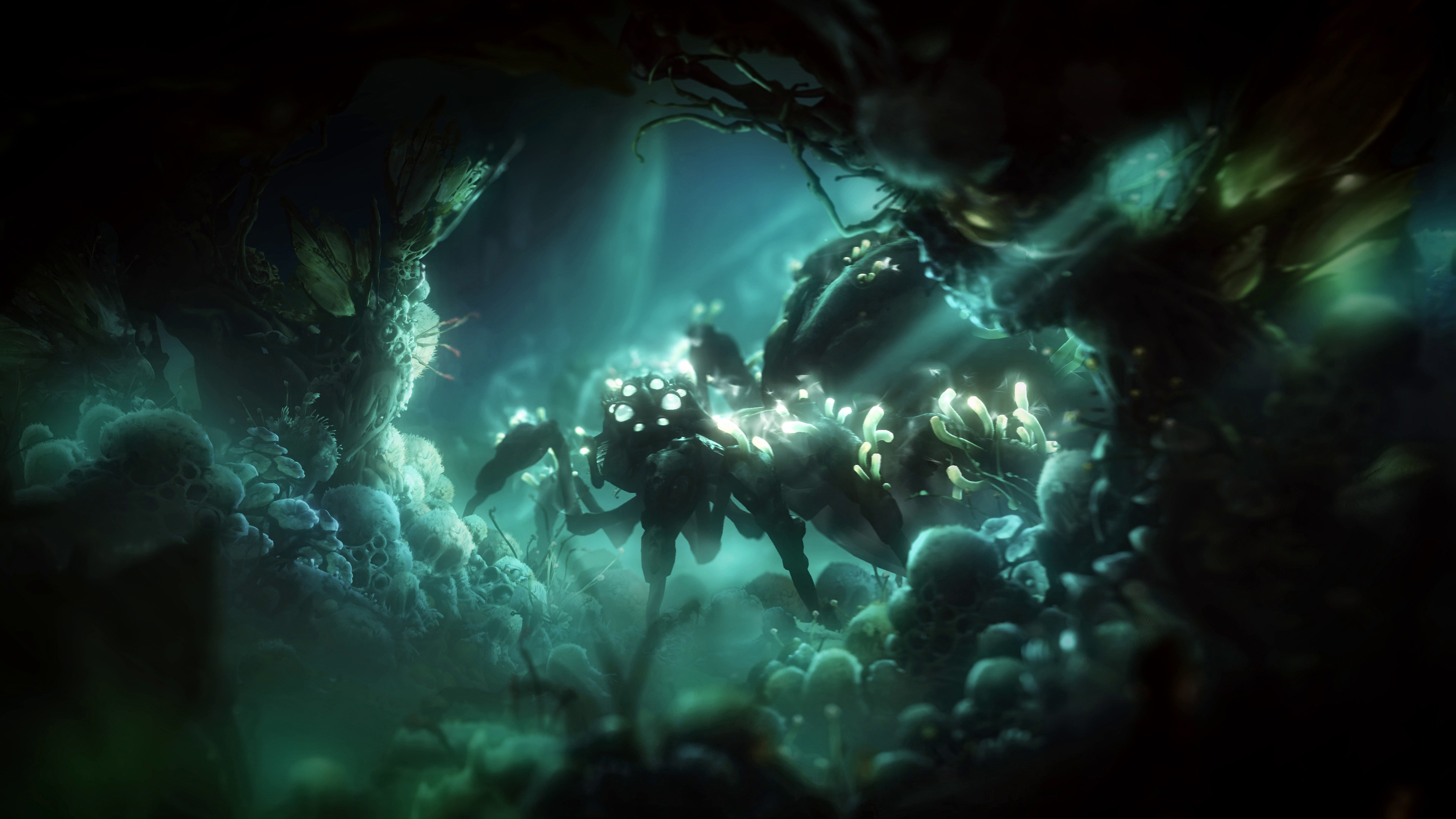 Ori and the Will of the Wisps Wallpapers