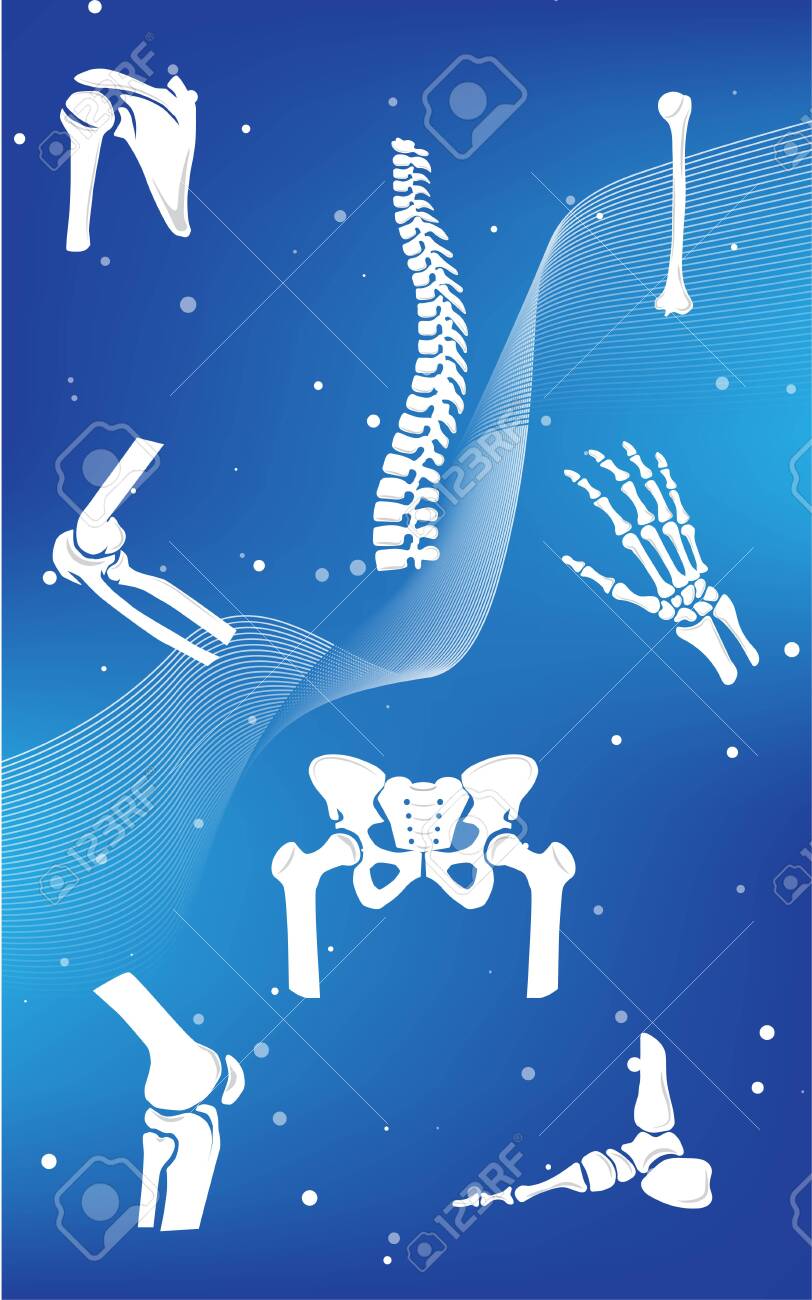 Orthopedic Wallpapers