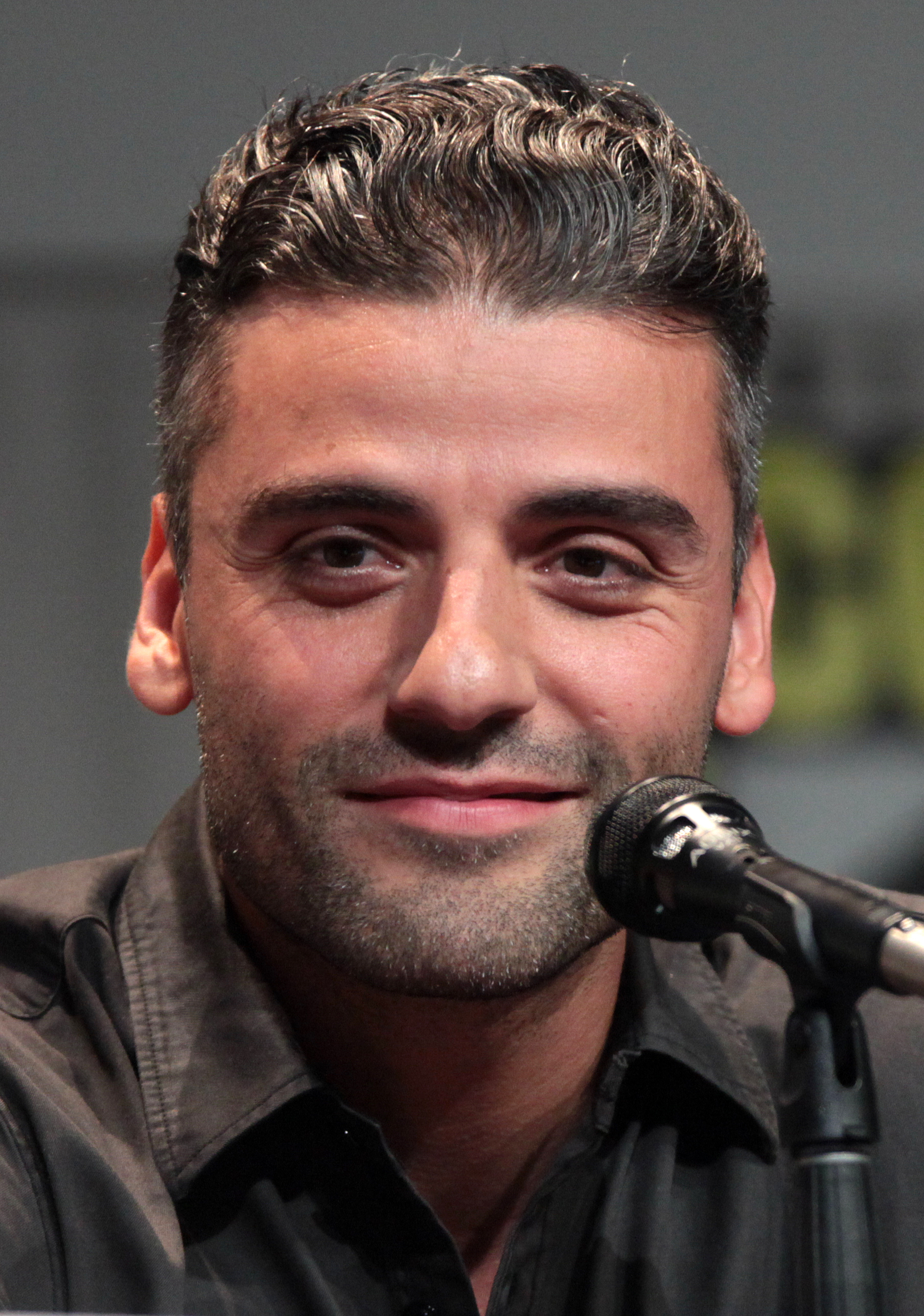 Oscar Isaac Wallpapers