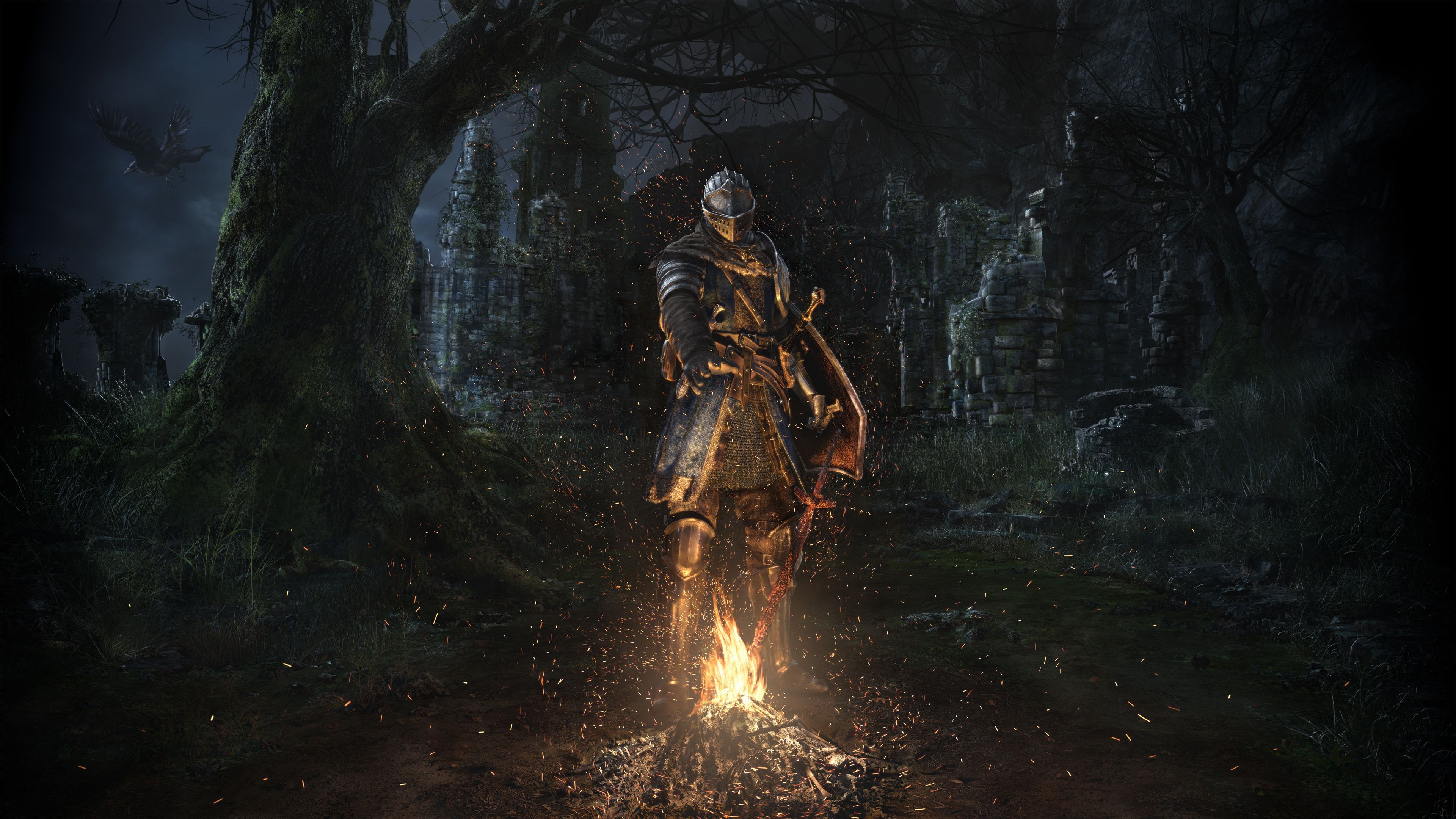 Oscar of Astora Dark Souls Wallpapers