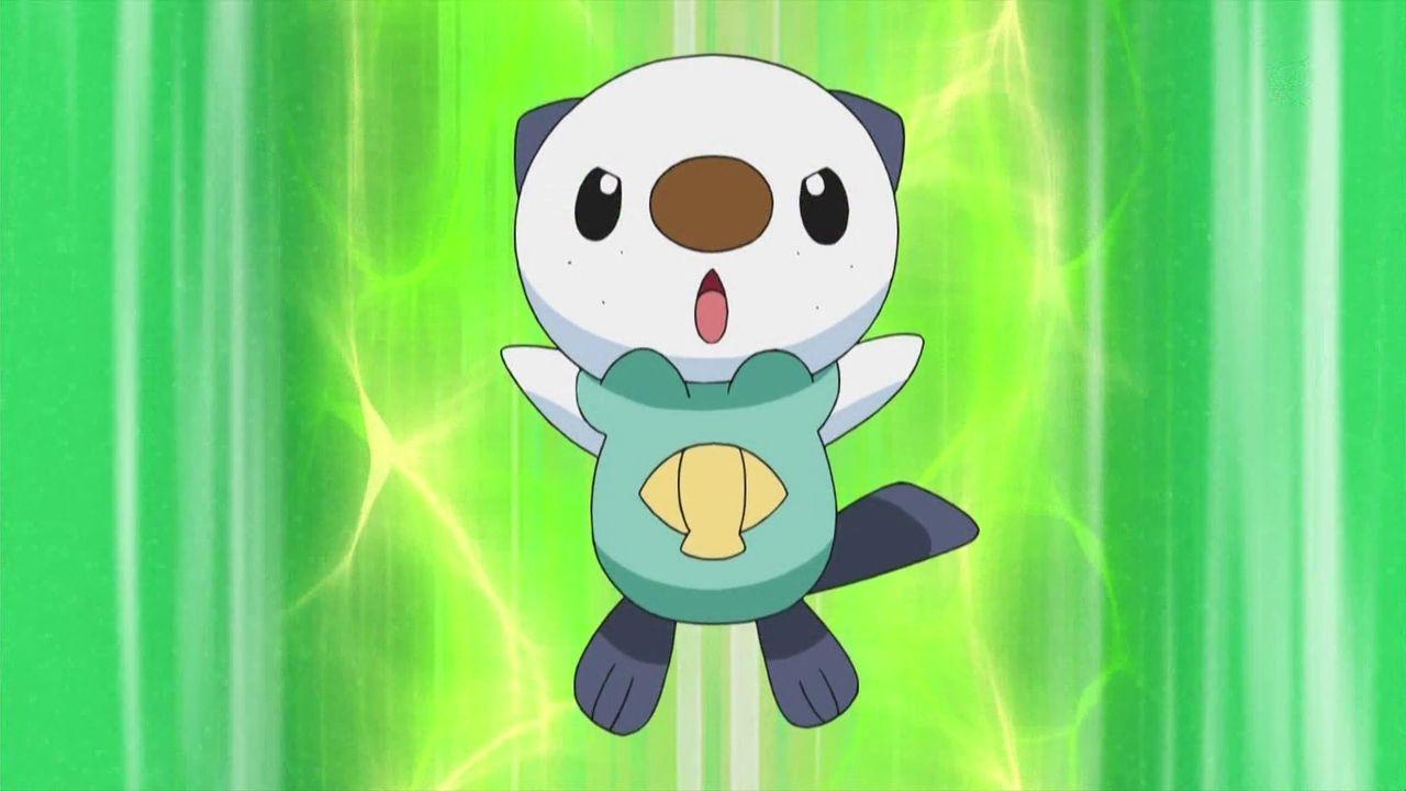 Oshawott Hd Wallpapers