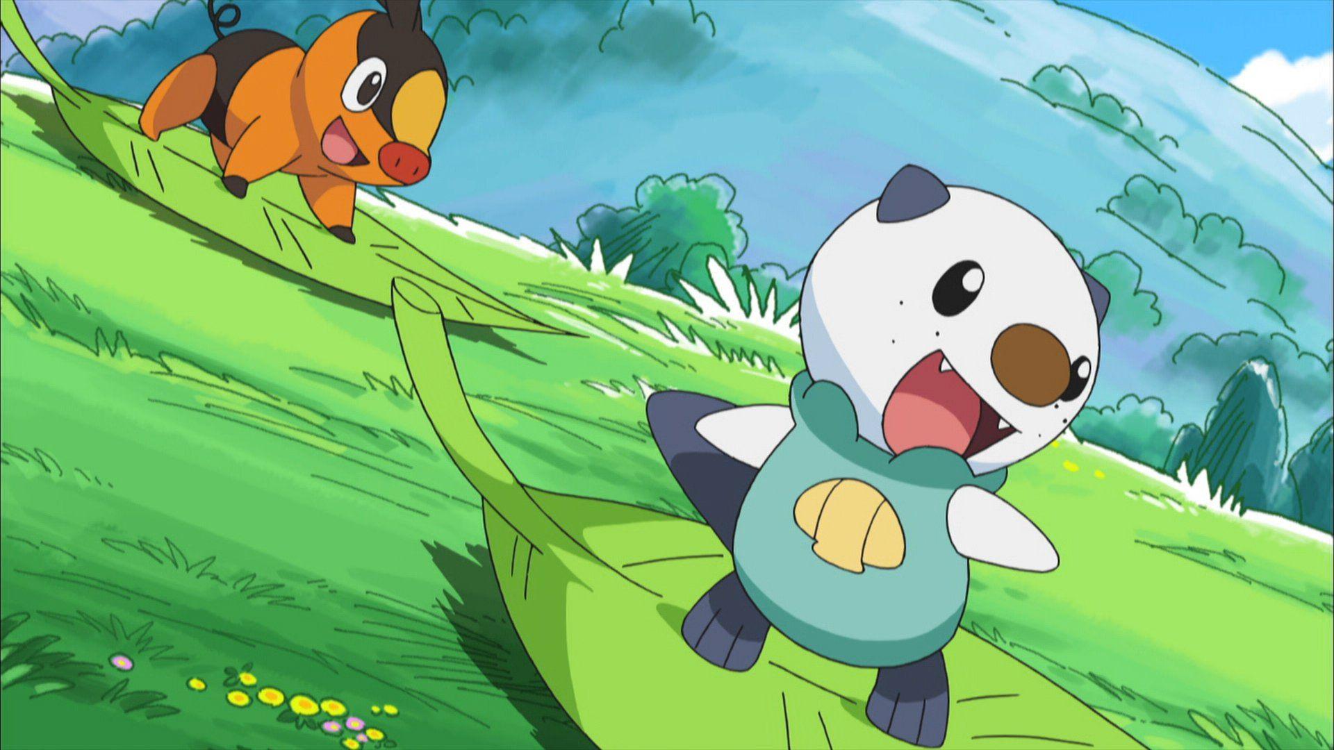 Oshawott Hd Wallpapers