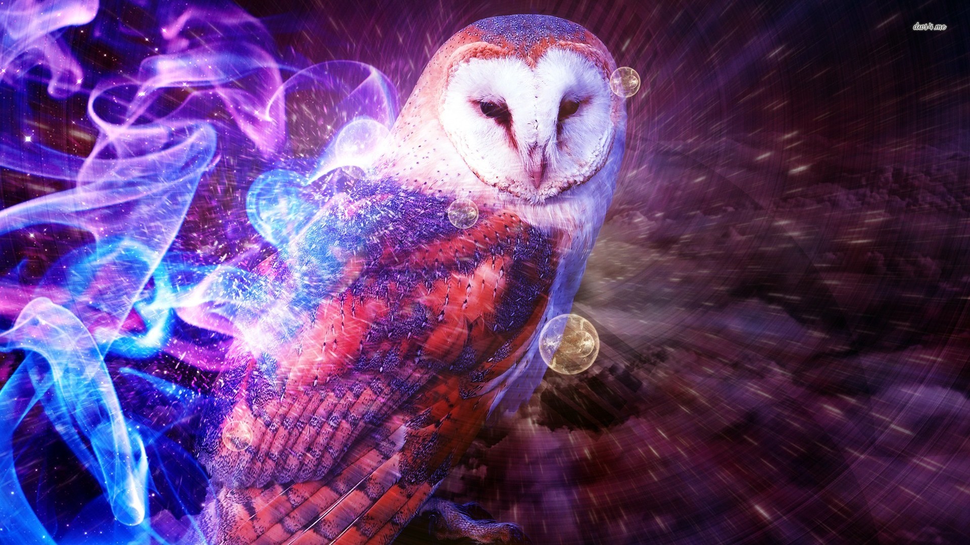 Owl Wallpapers