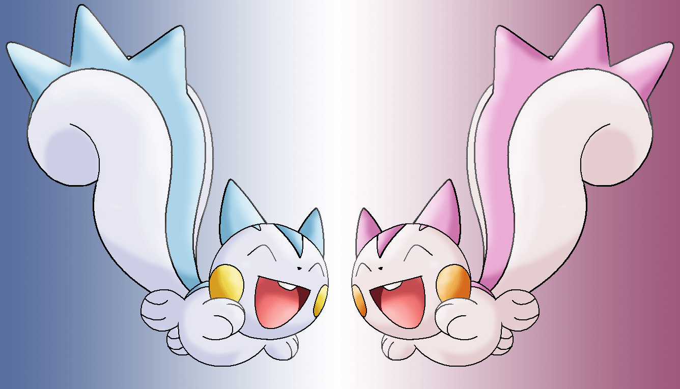 Pachirisu Hd Wallpapers