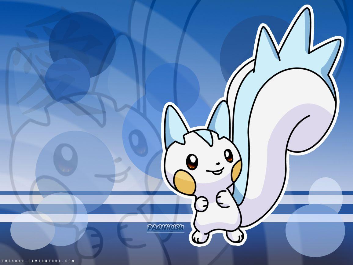 Pachirisu Hd Wallpapers