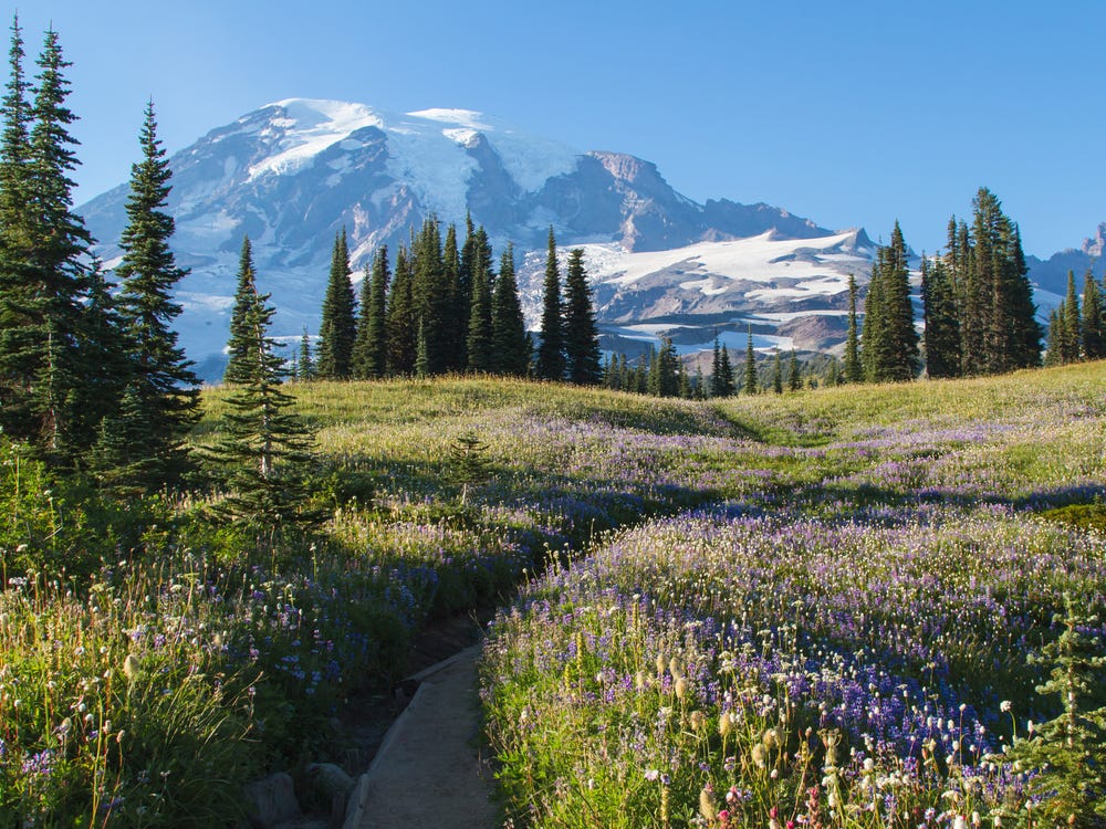 Pacific Northwest Background