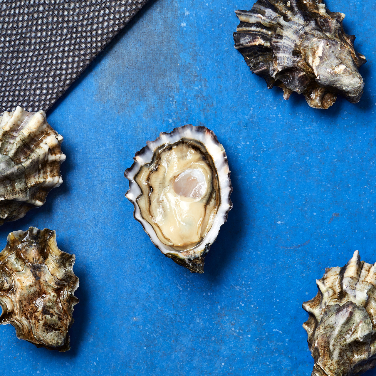 Pacific Oyster Wallpapers