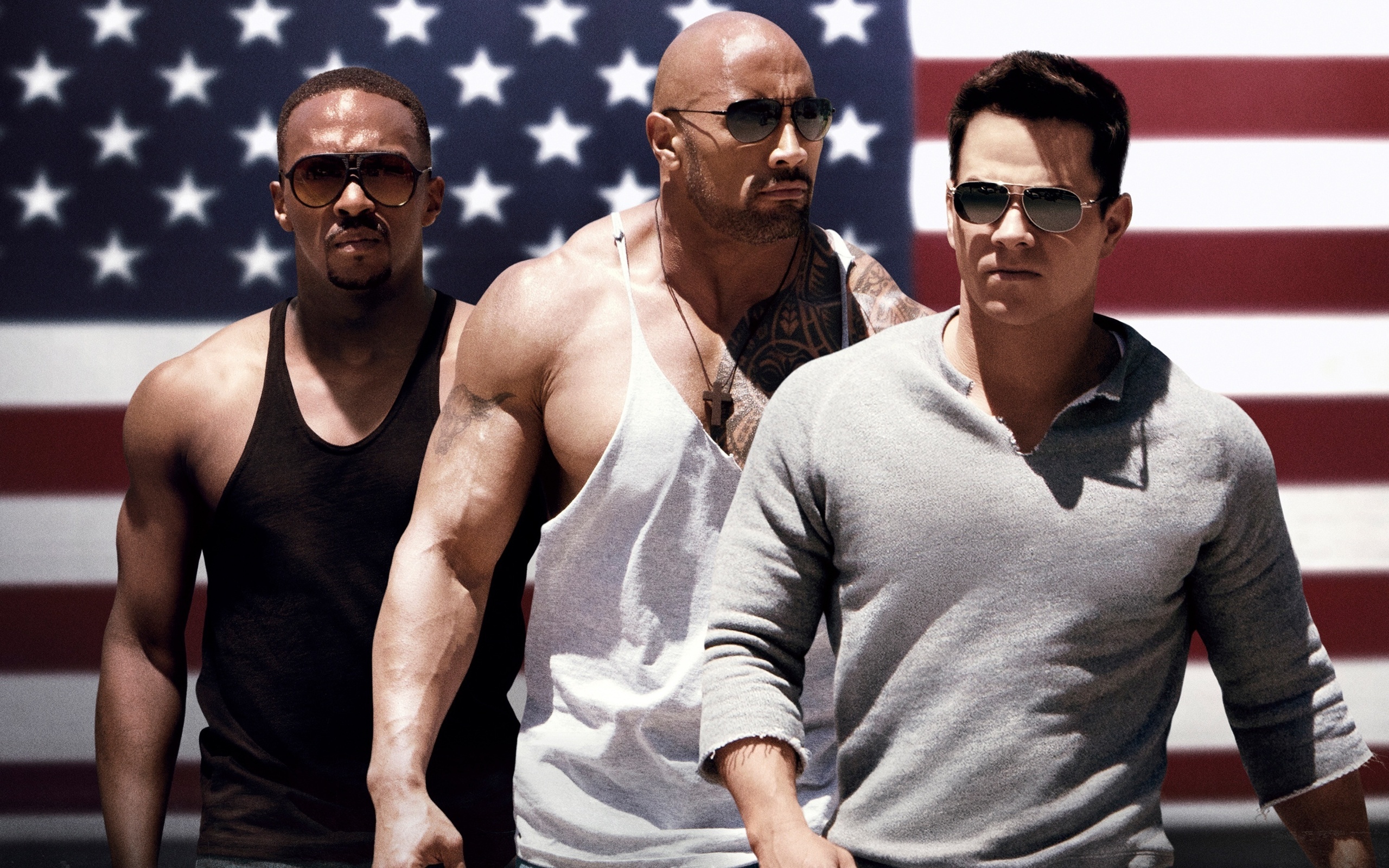 Pain & Gain Wallpapers