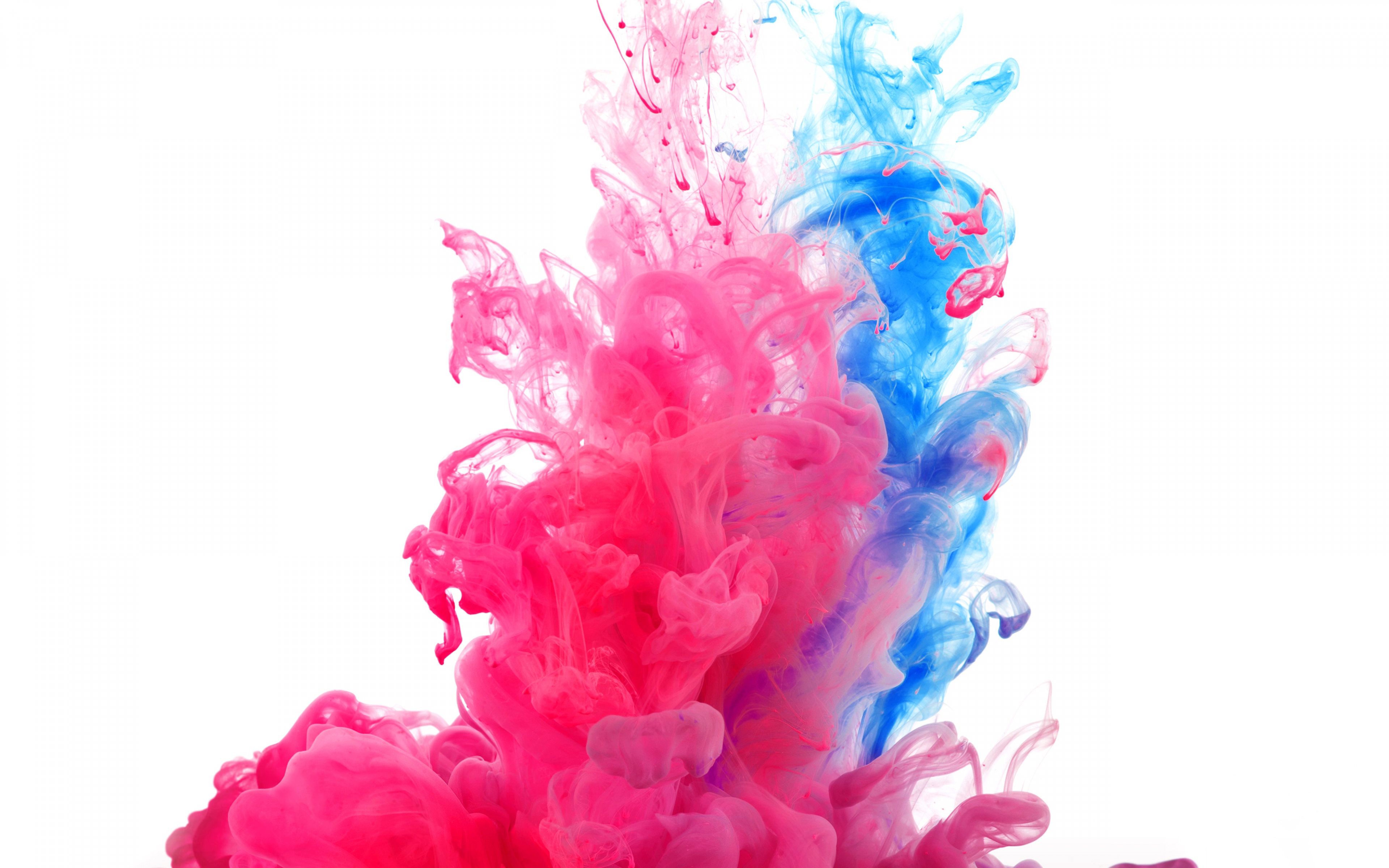 Paint Hd Wallpapers