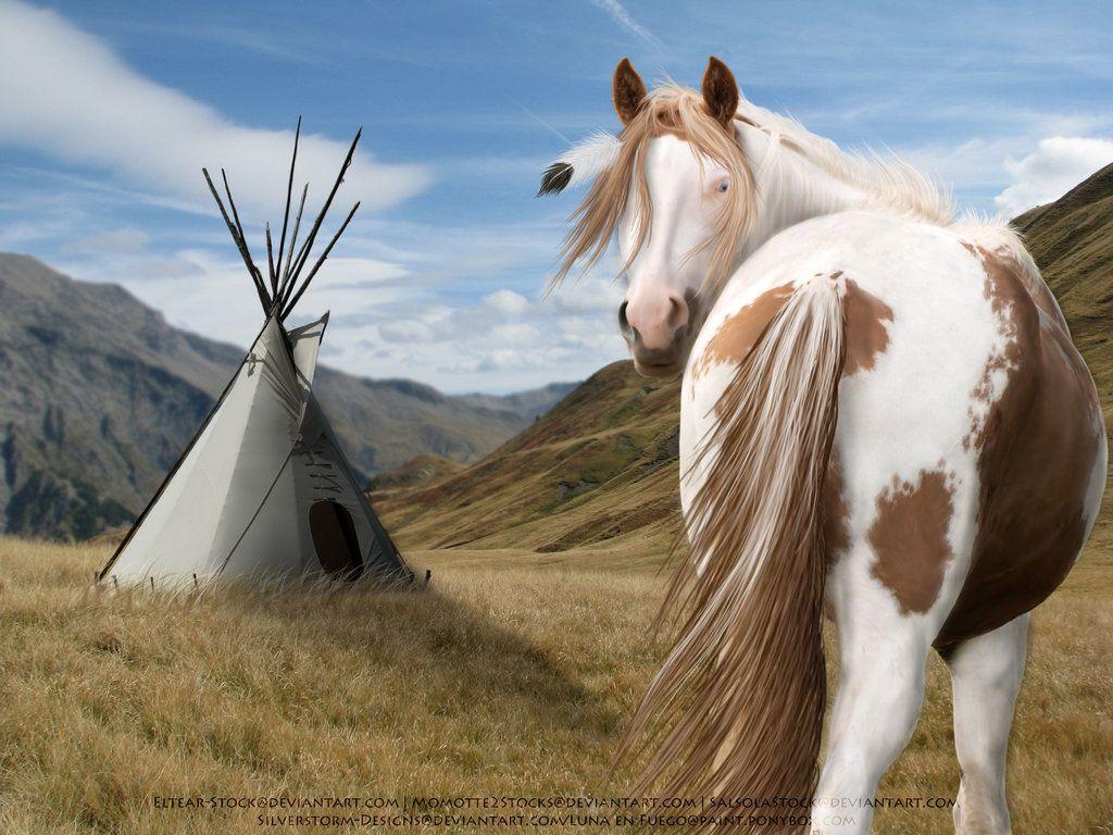 Paint Horse Wallpapers