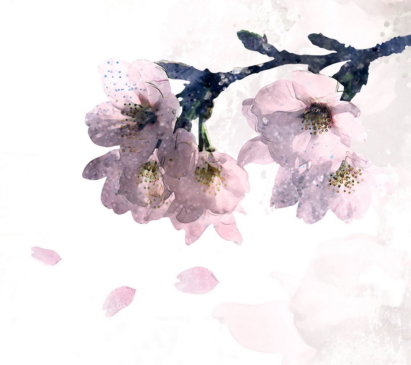 Painted Flower Wallpapers