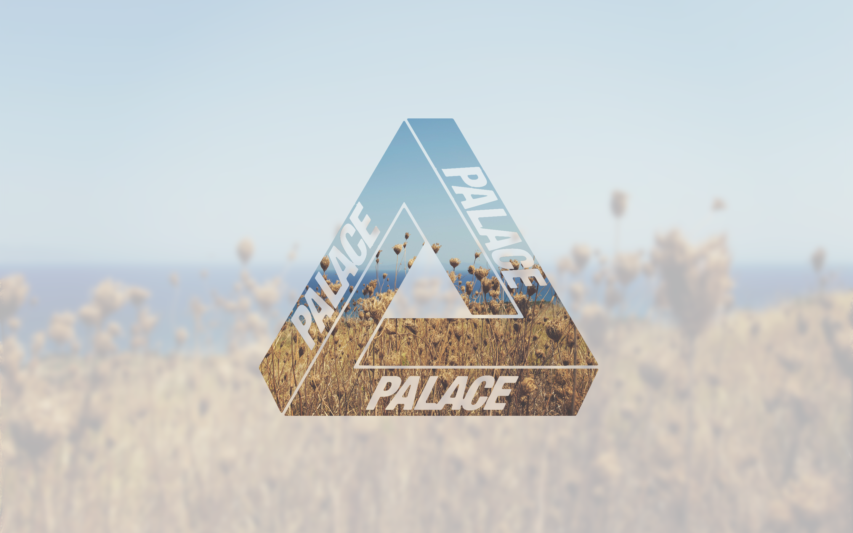 Palace Clothing Wallpapers