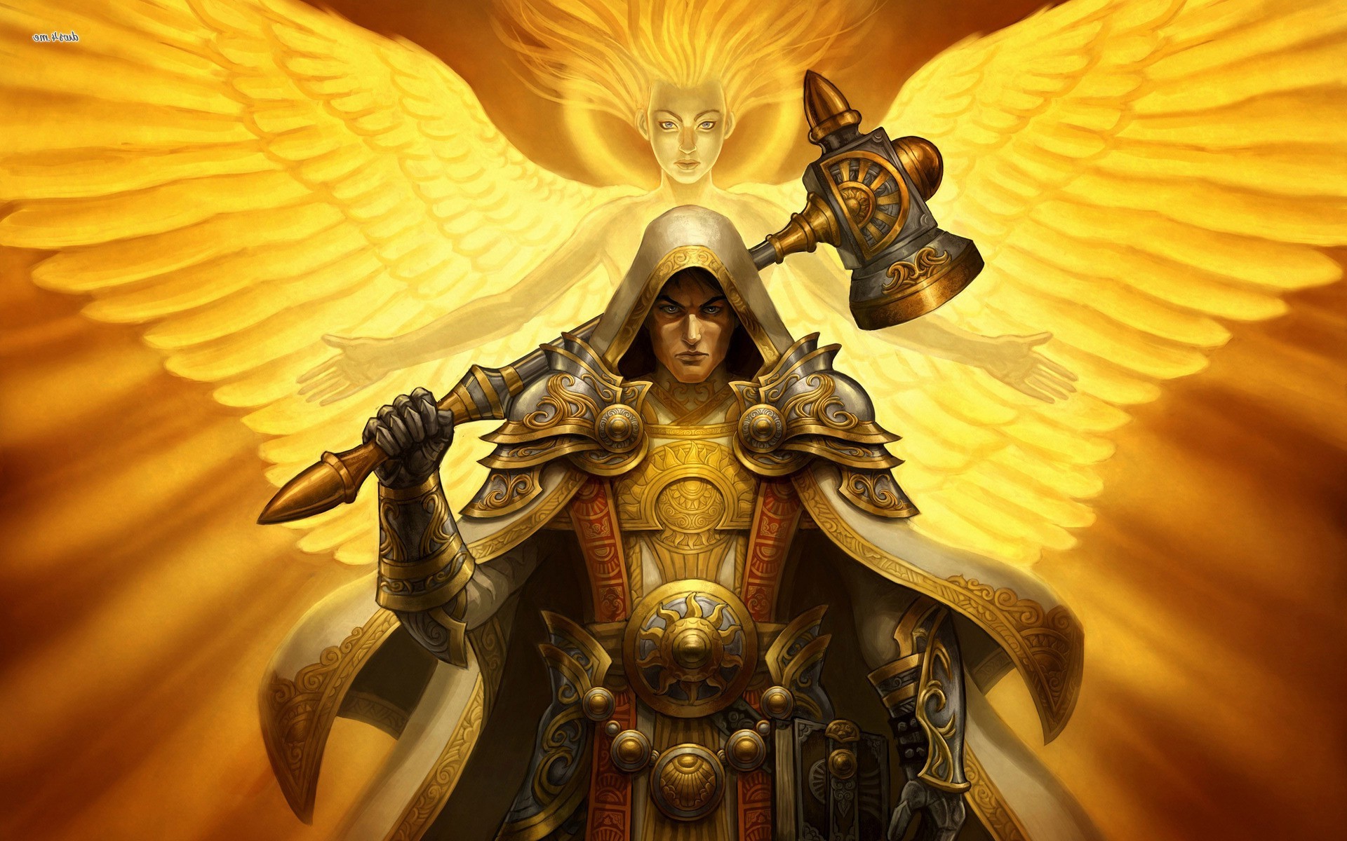 Paladin Wallpapers