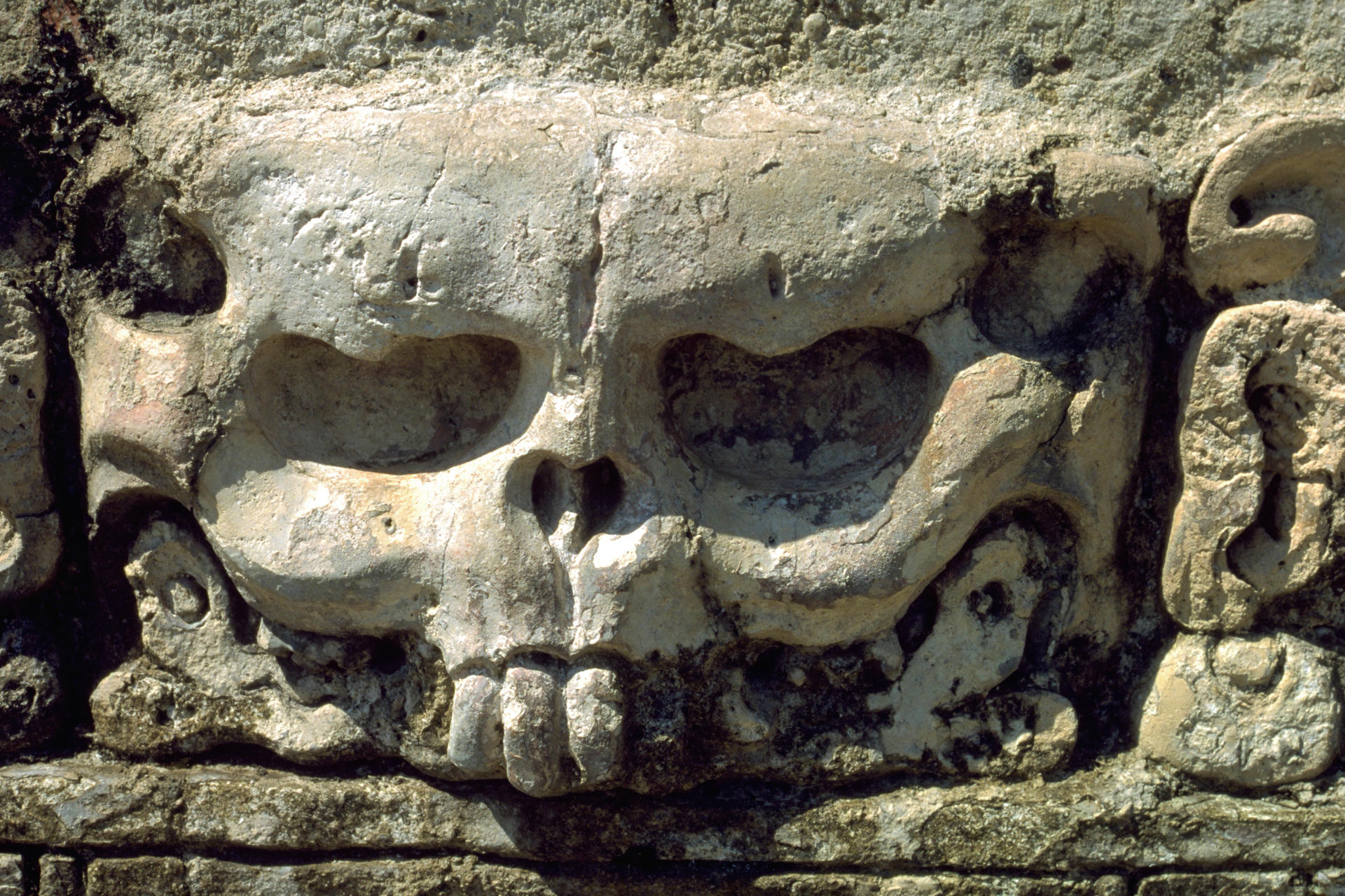 Palenque'S Temple Of The Skull Wallpapers