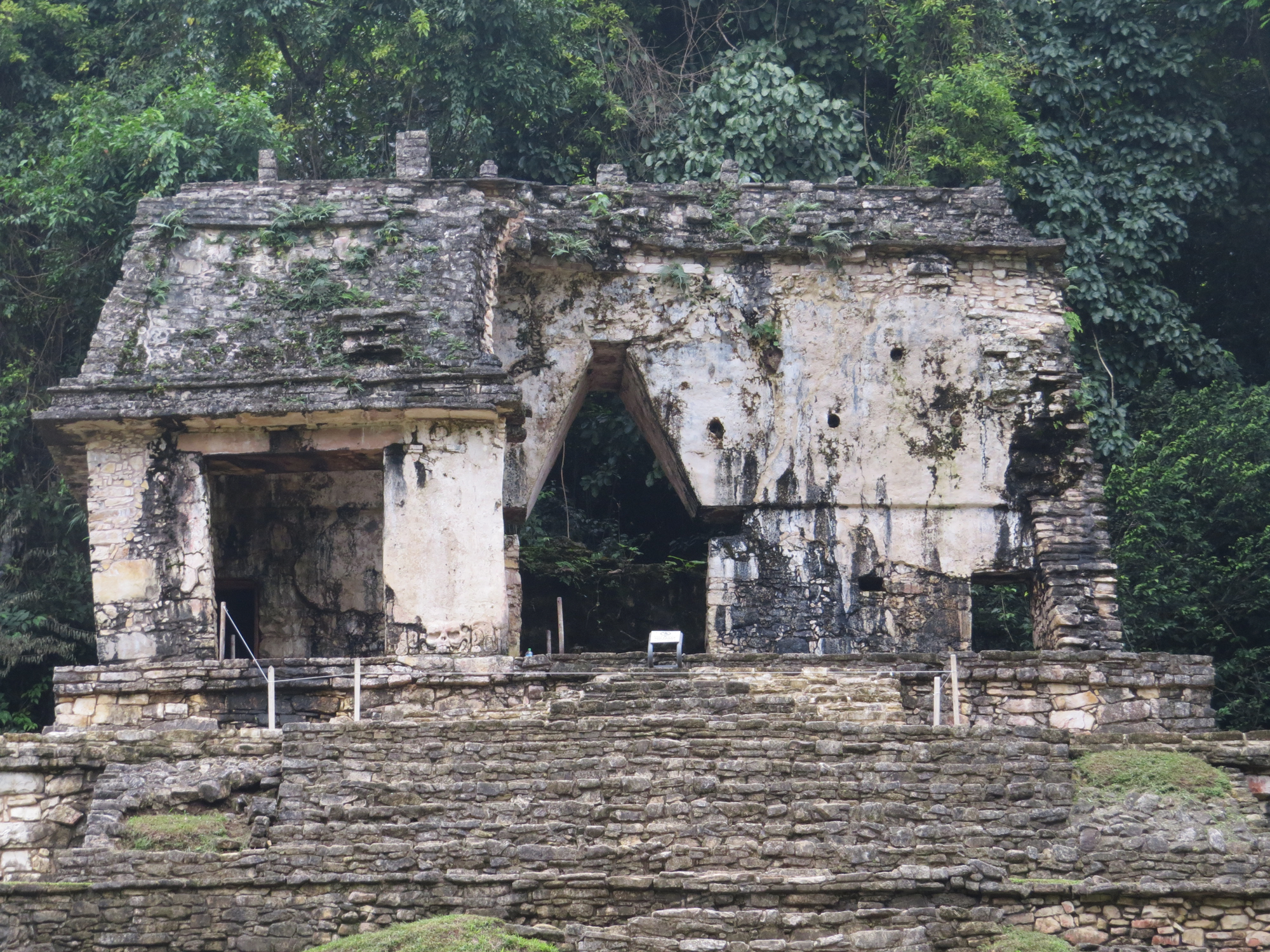 Palenque'S Temple Of The Skull Wallpapers