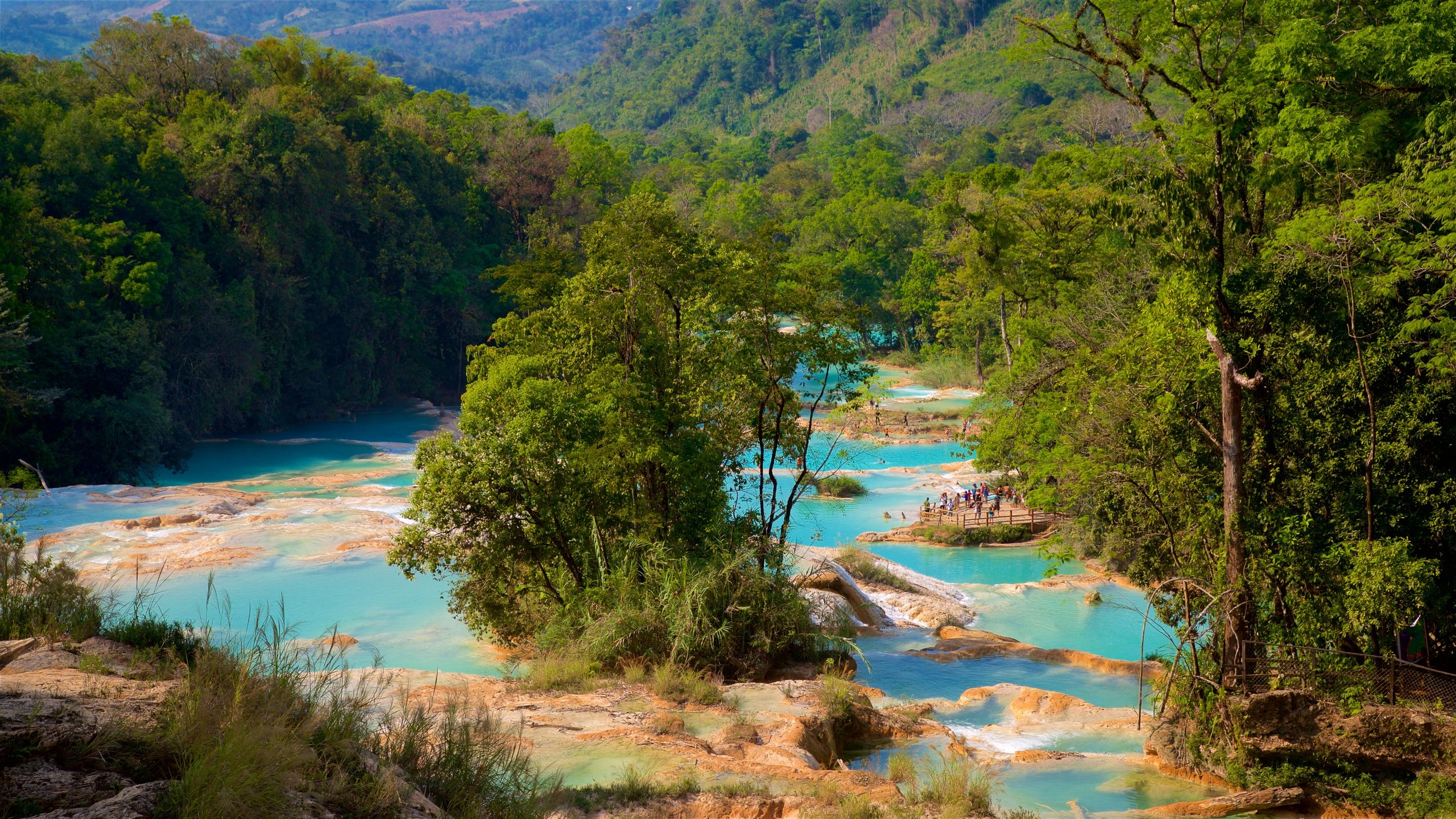 Palenque Chiapas Mexico Wallpapers