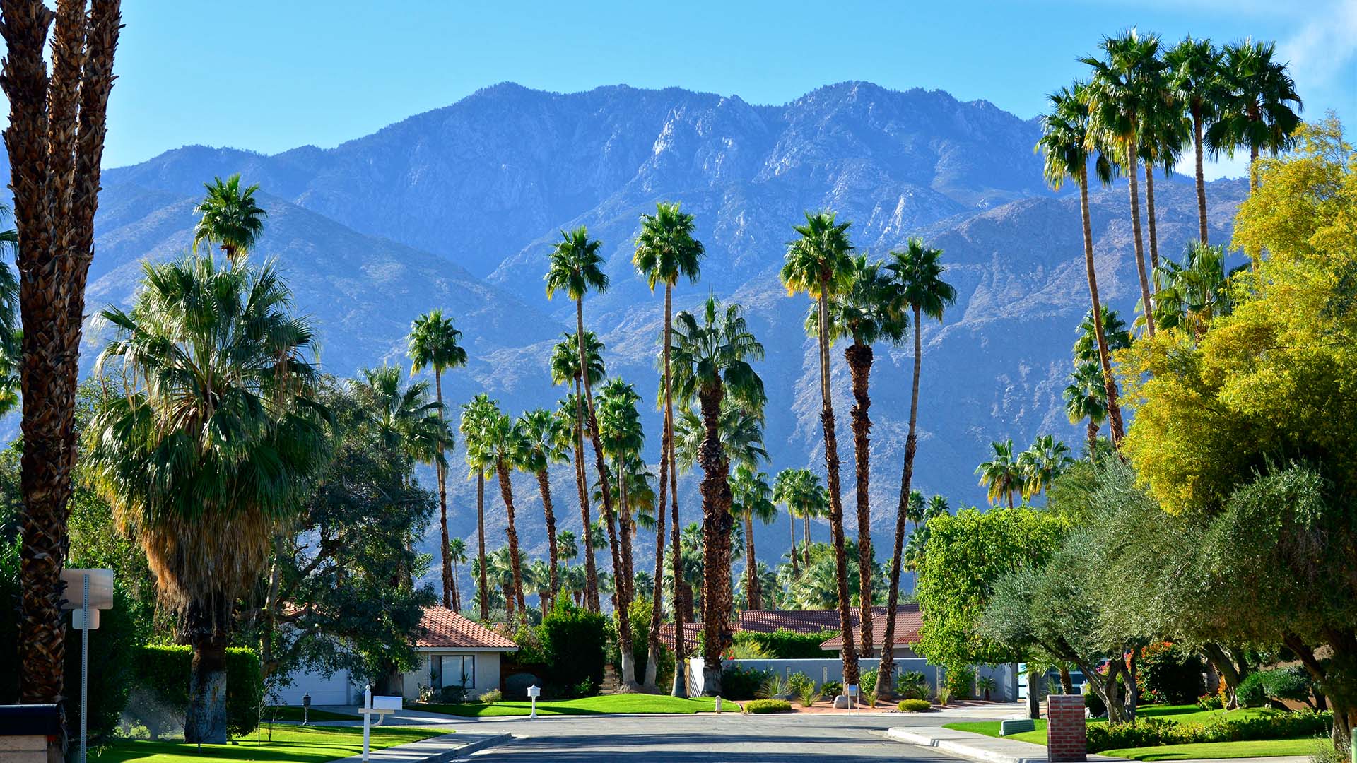 Palm Springs Wallpapers