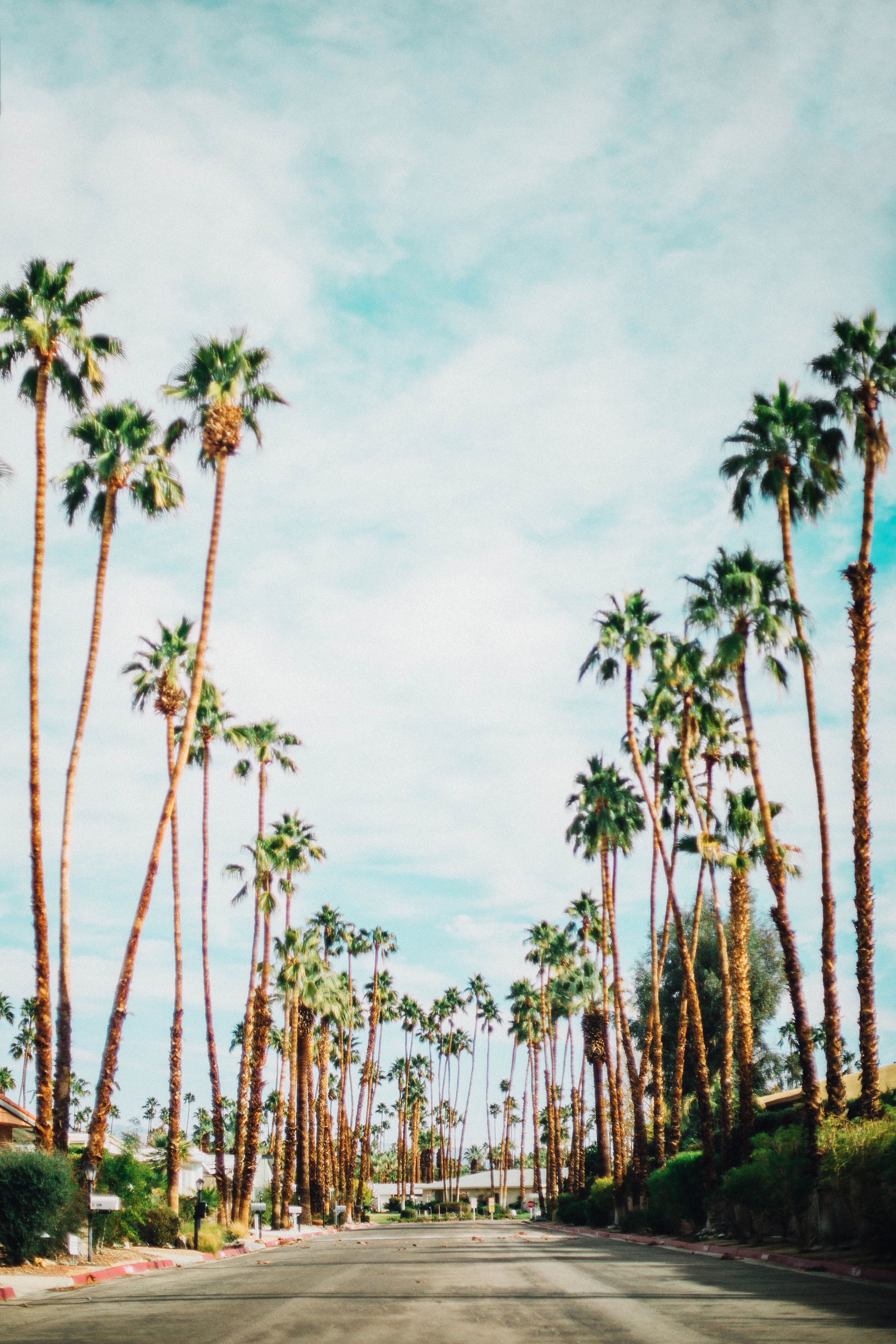 Palm Springs Wallpapers
