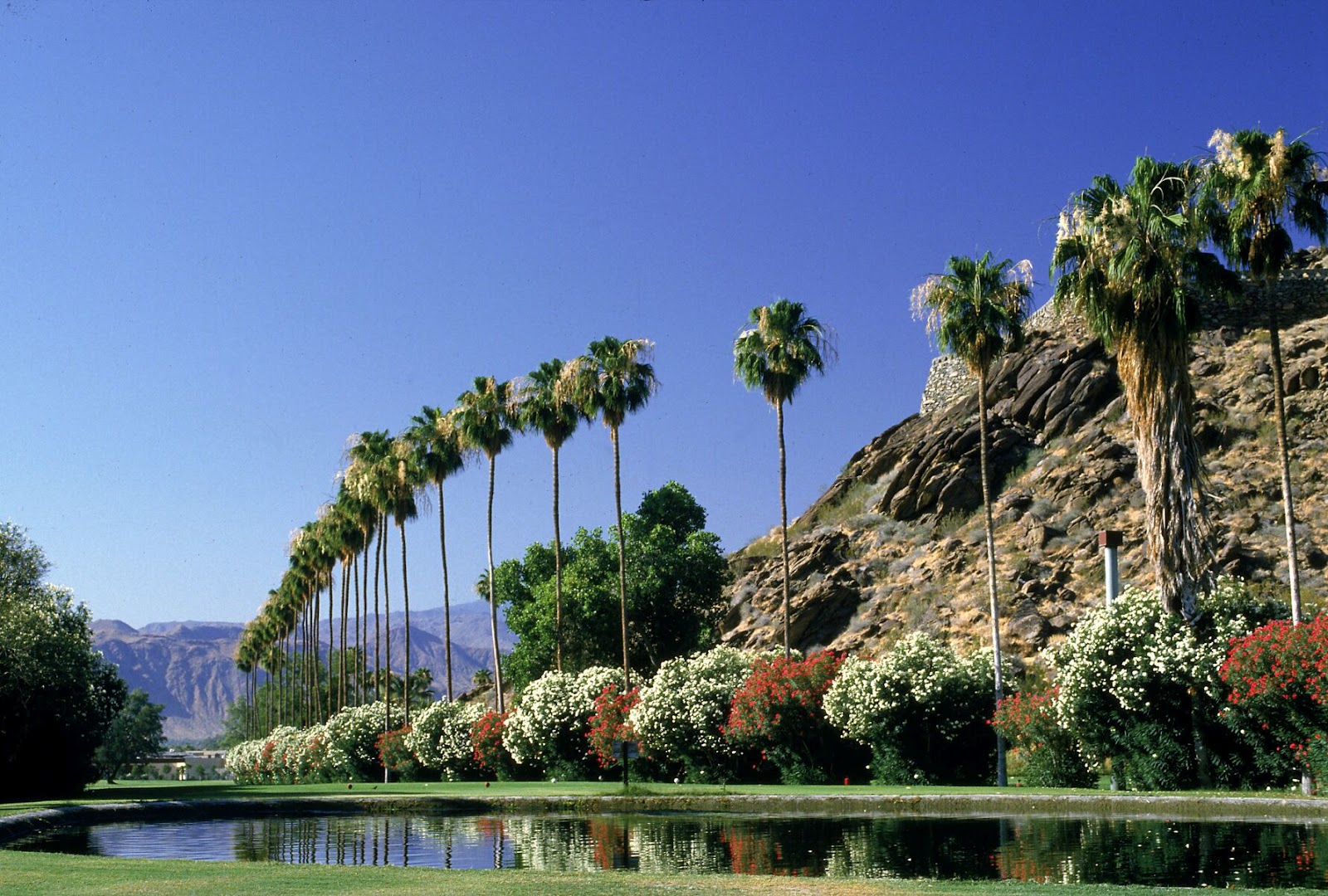 Palm Springs Wallpapers