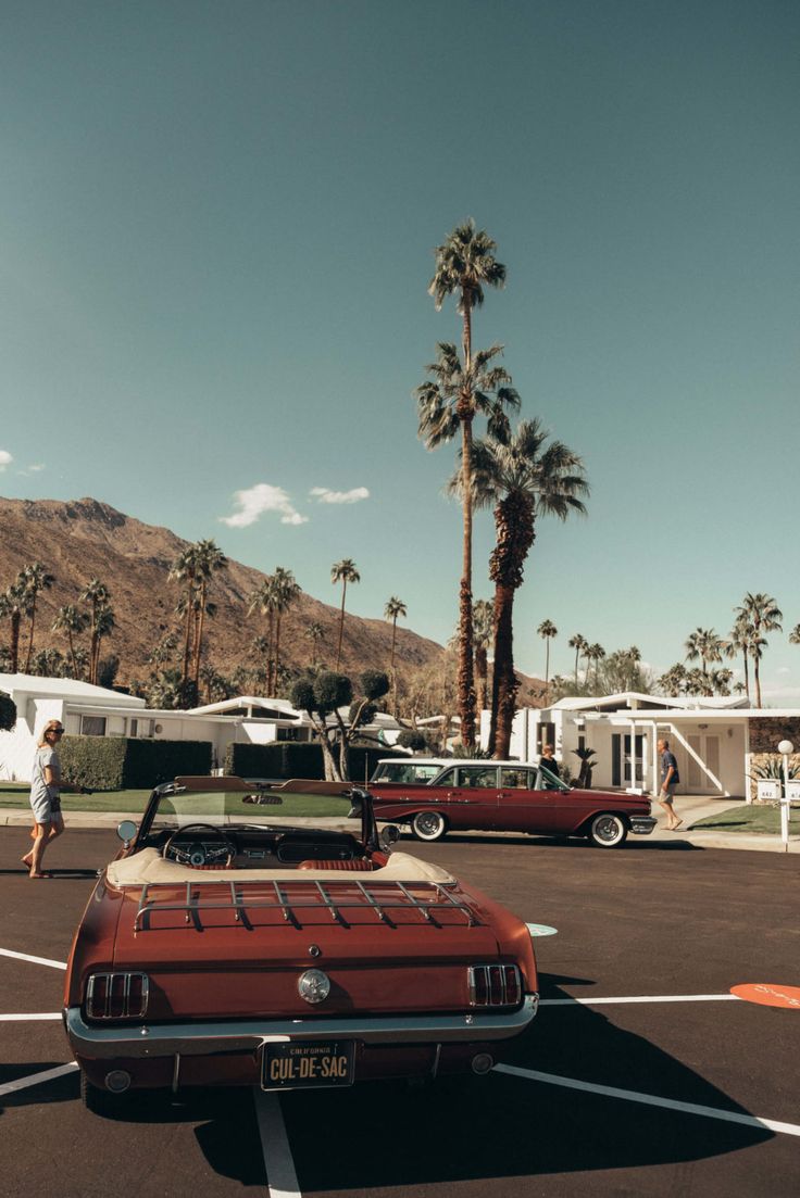 Palm Springs Wallpapers