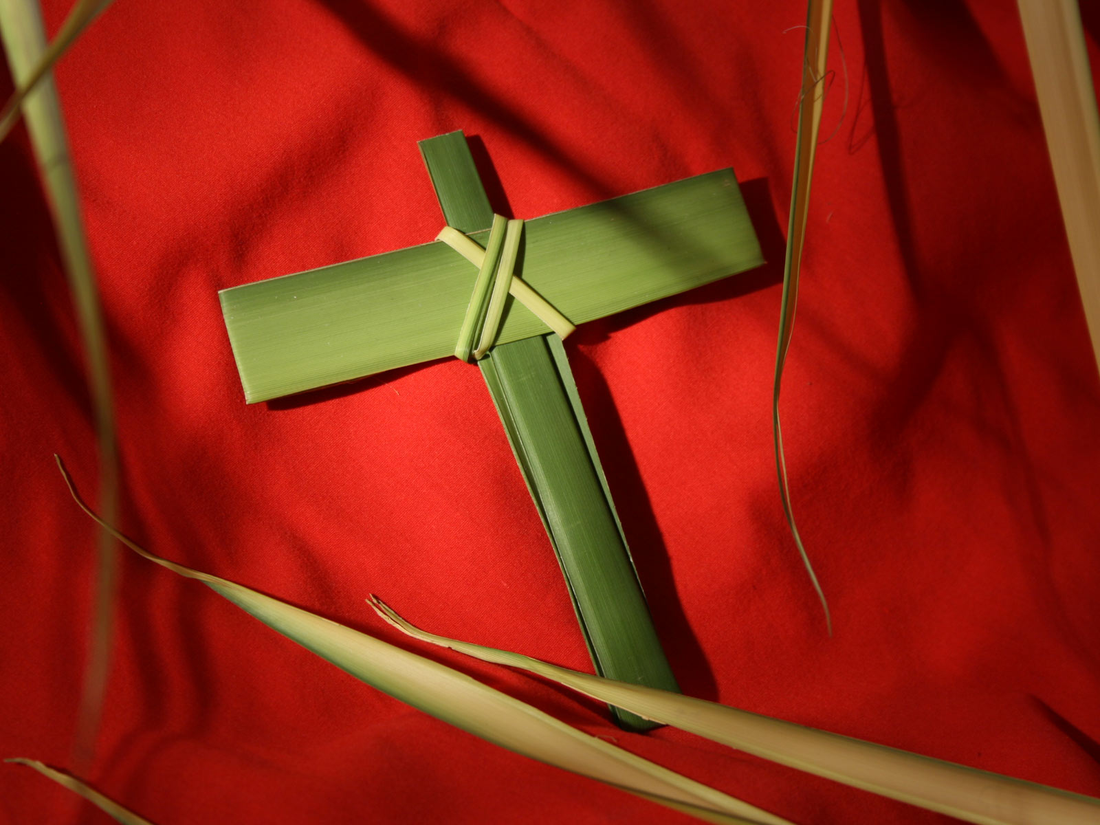 Palm Sunday Wallpapers