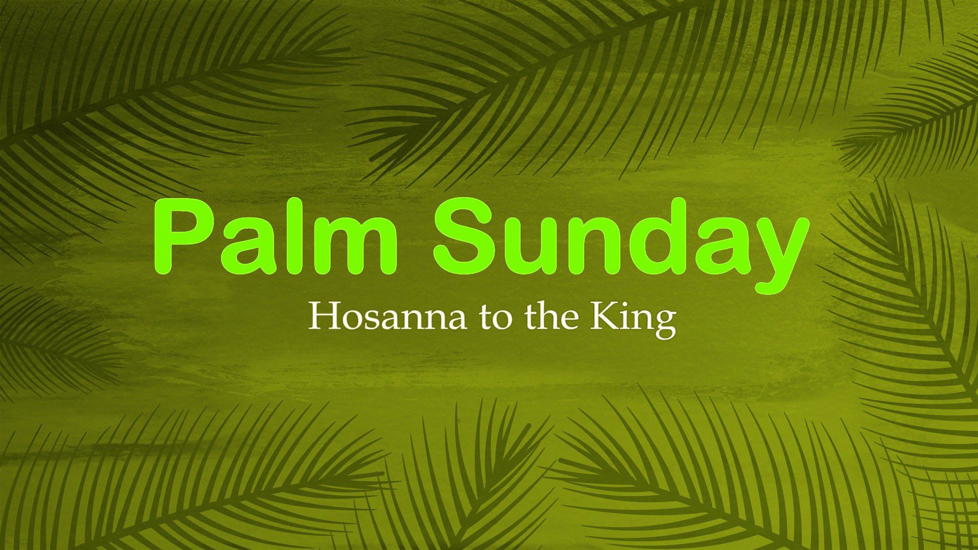 Palm Sunday Wallpapers