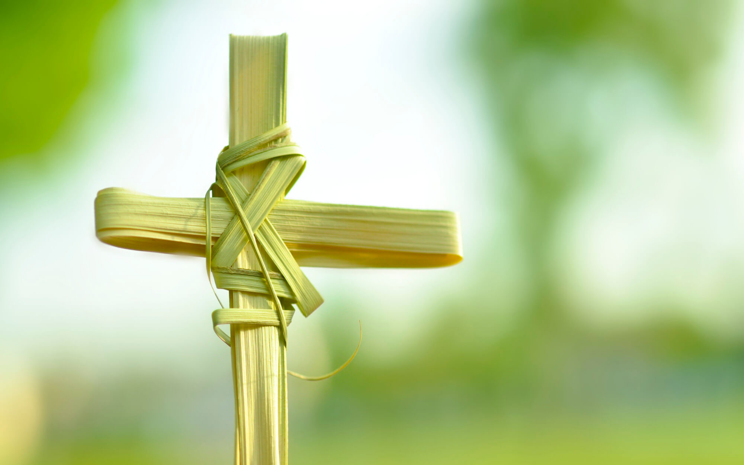 Palm Sunday Wallpapers