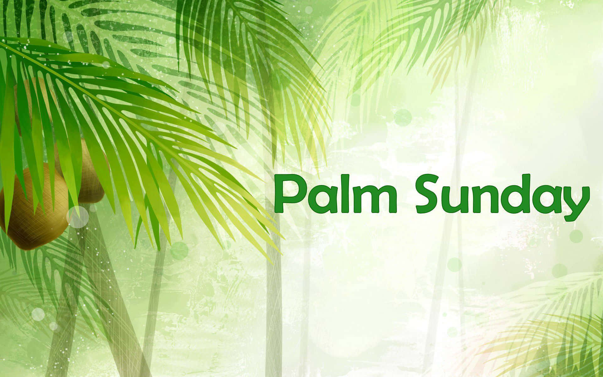 Palm Sunday Wallpapers