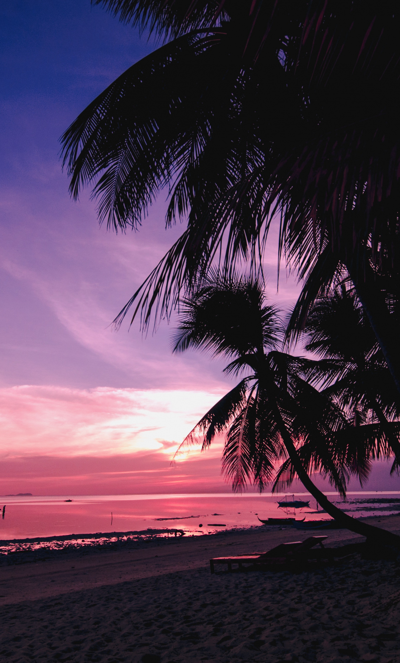 Palm Tree Beach Wallpapers