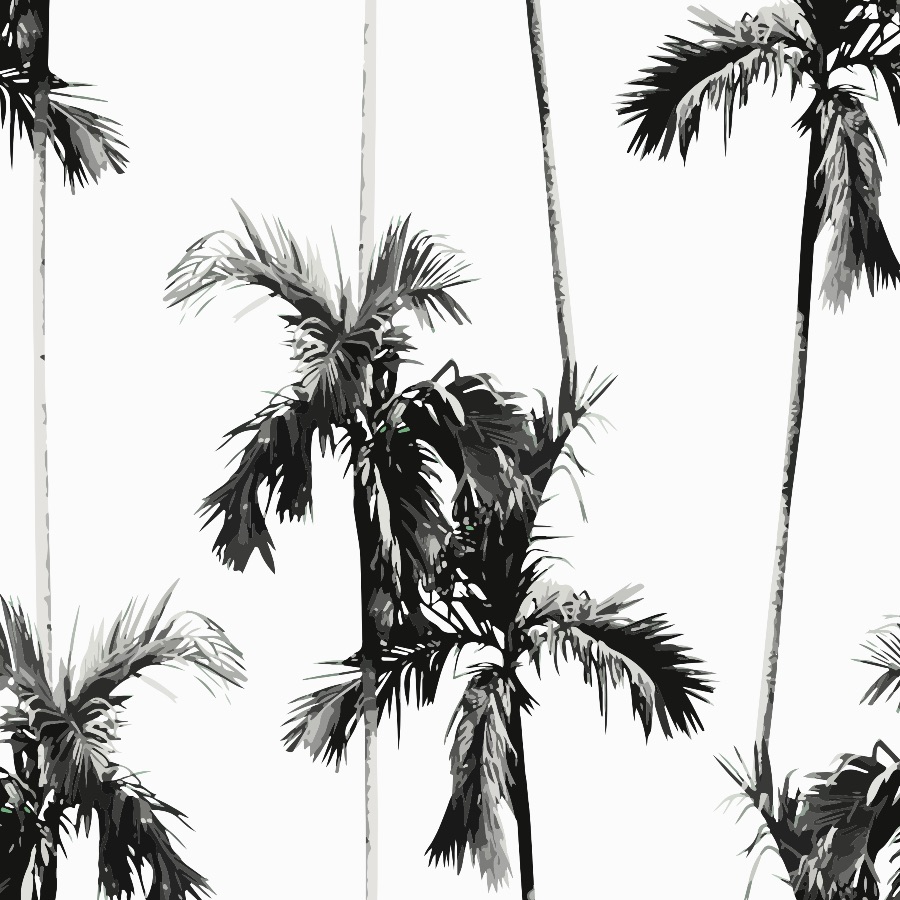 Palm Tree Desktop Wallpapers