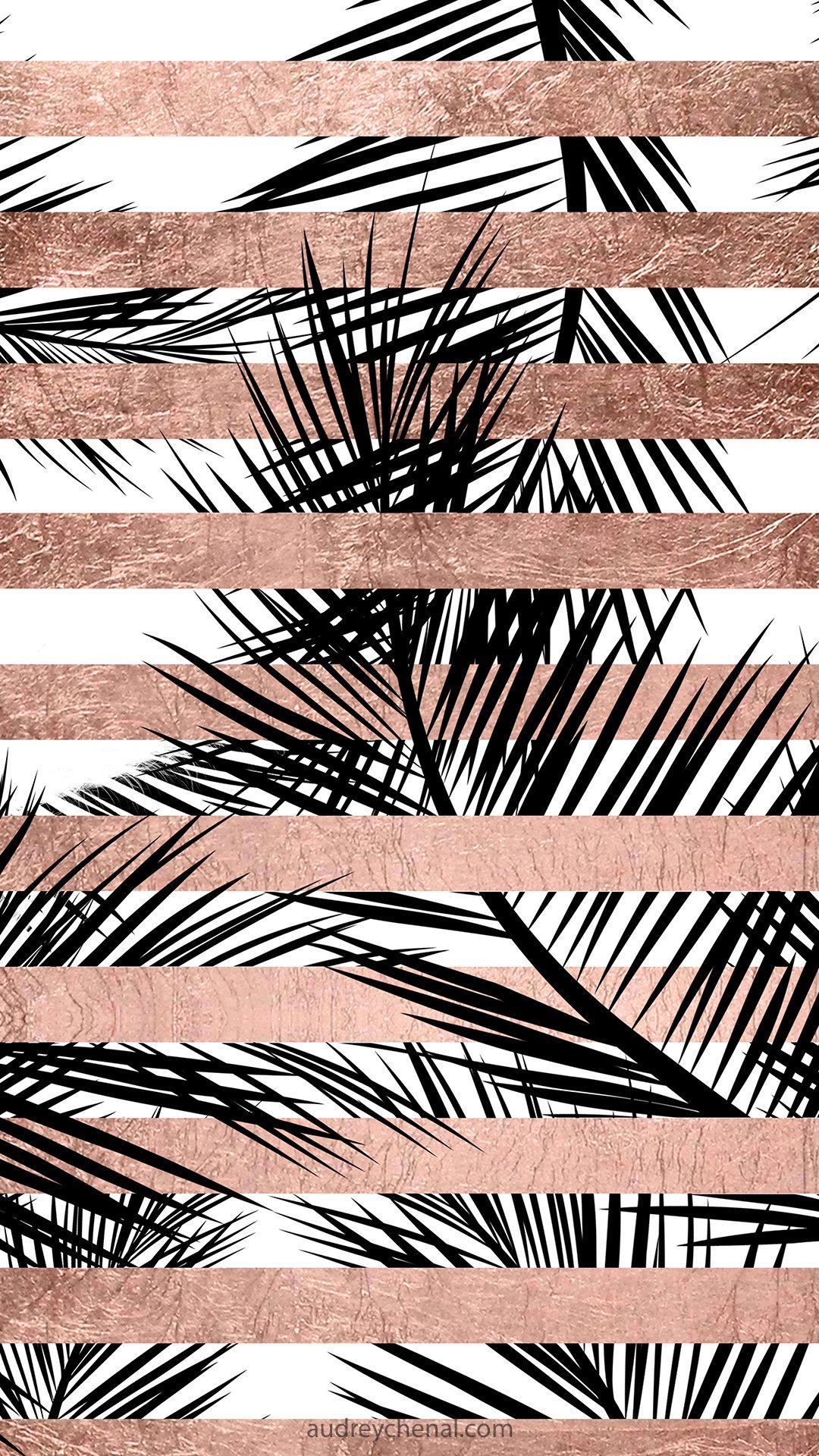 Palm Tree Iphone Wallpapers