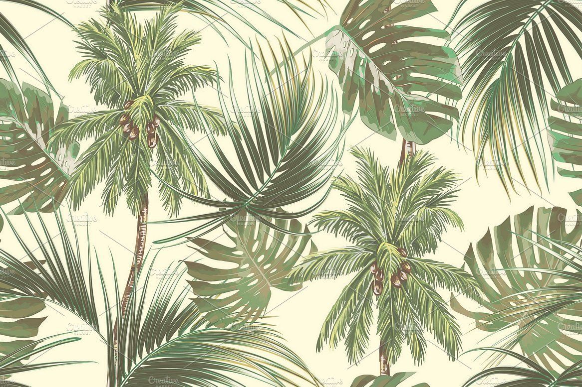 Palm Tree Leaves Wallpapers