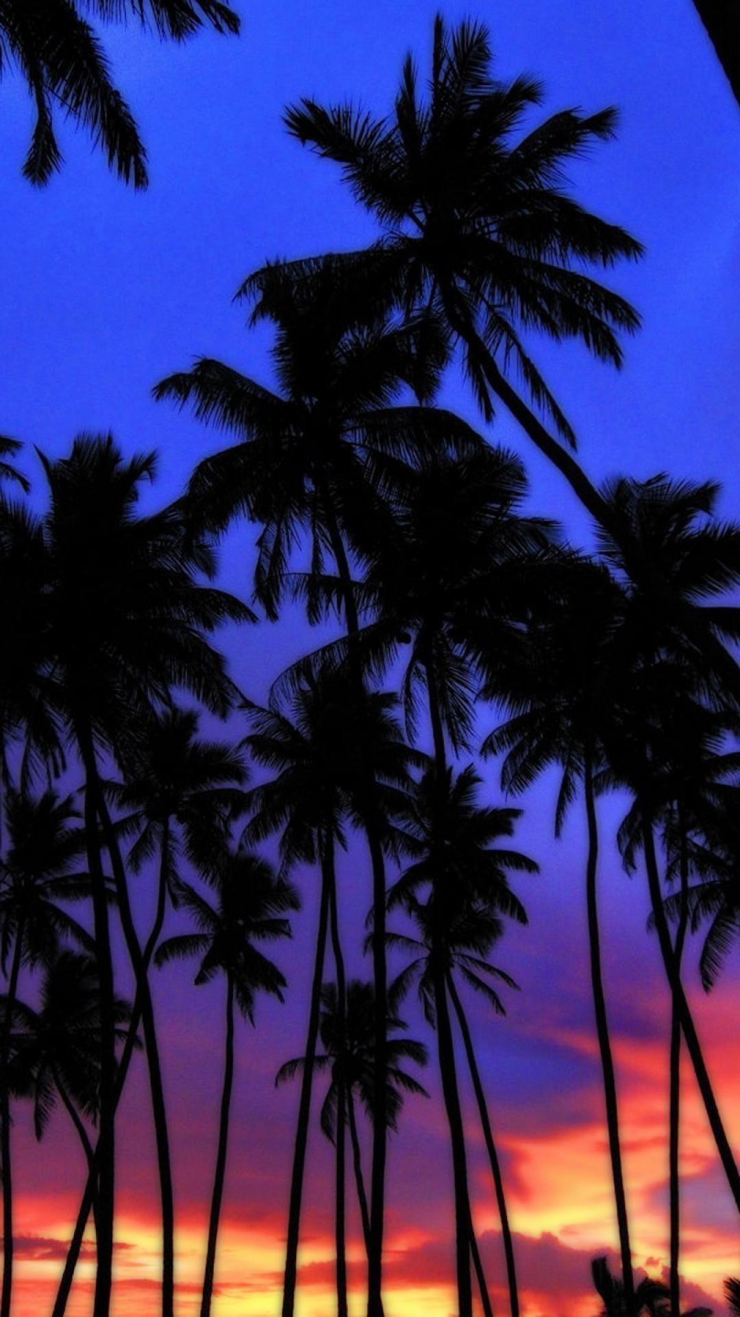 Palm Tree Sunset Iphone Wallpapers