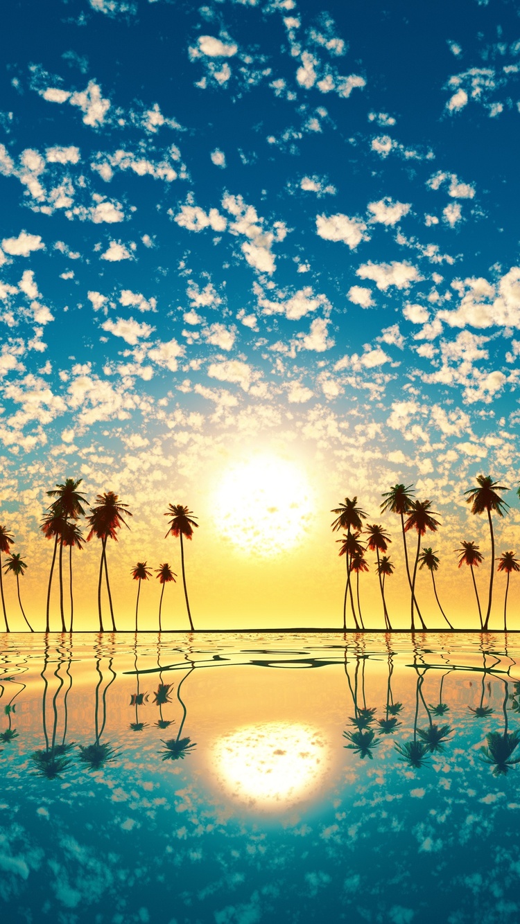 Palm Tree Sunset Iphone Wallpapers