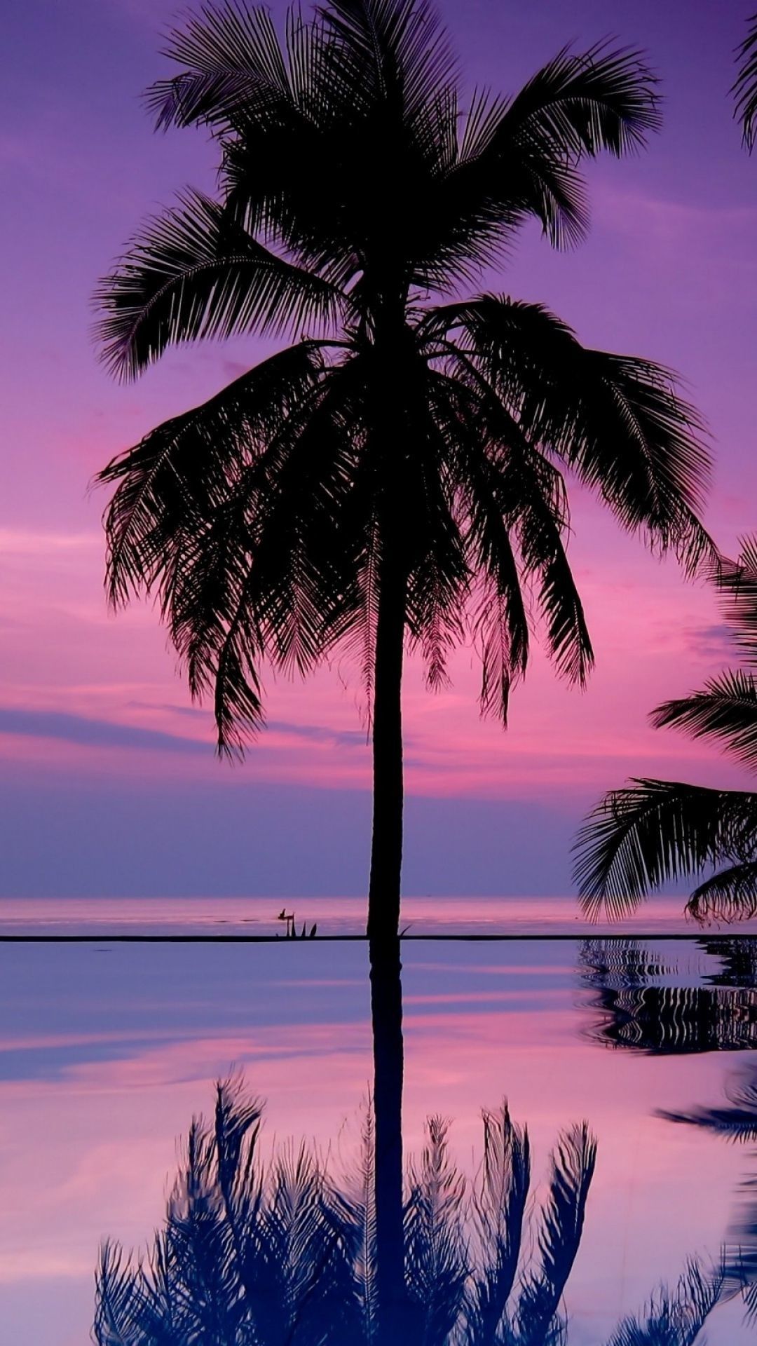 Palm Tree Sunset Iphone Wallpapers