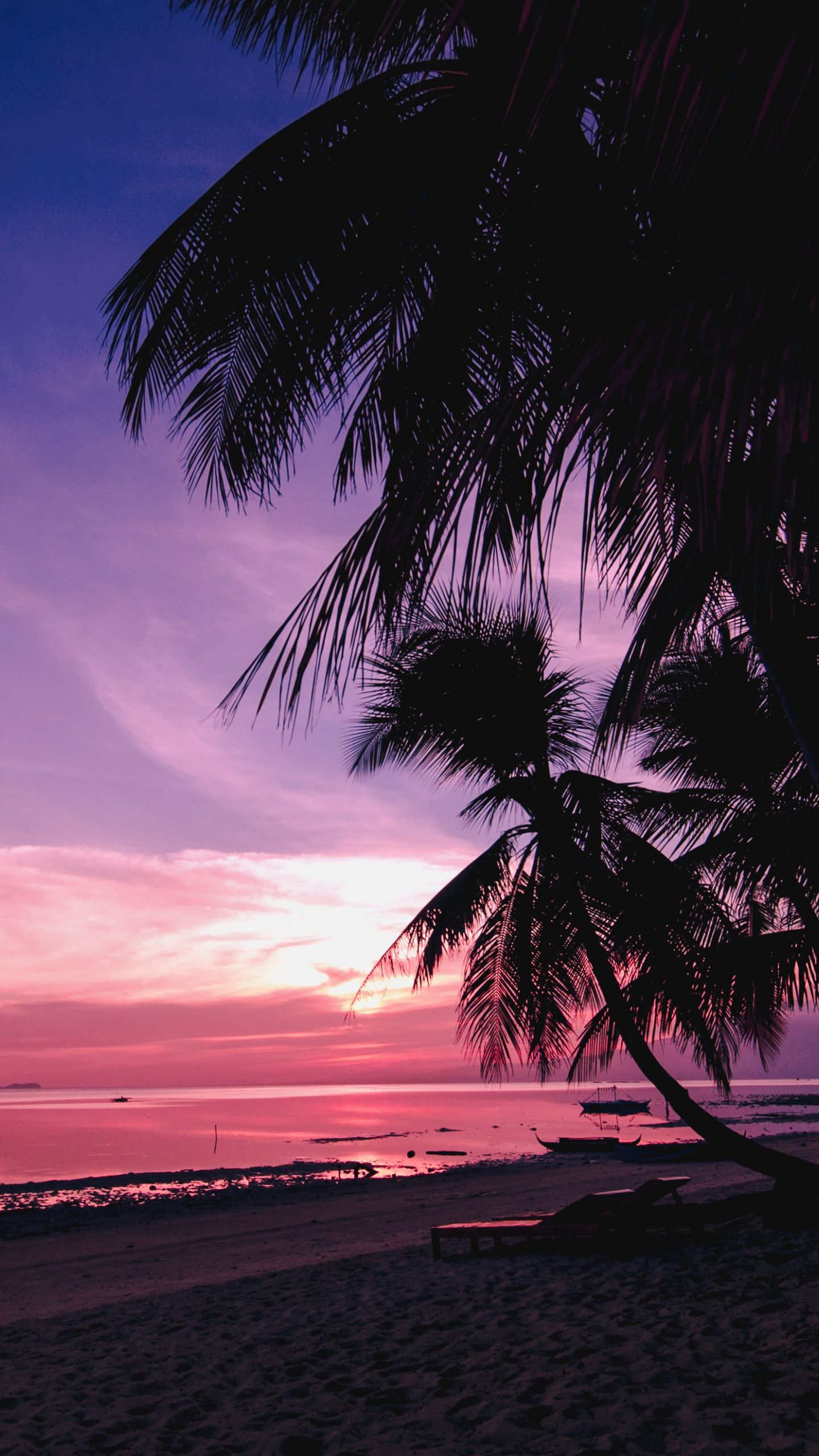 Palm Tree Sunset Iphone Wallpapers