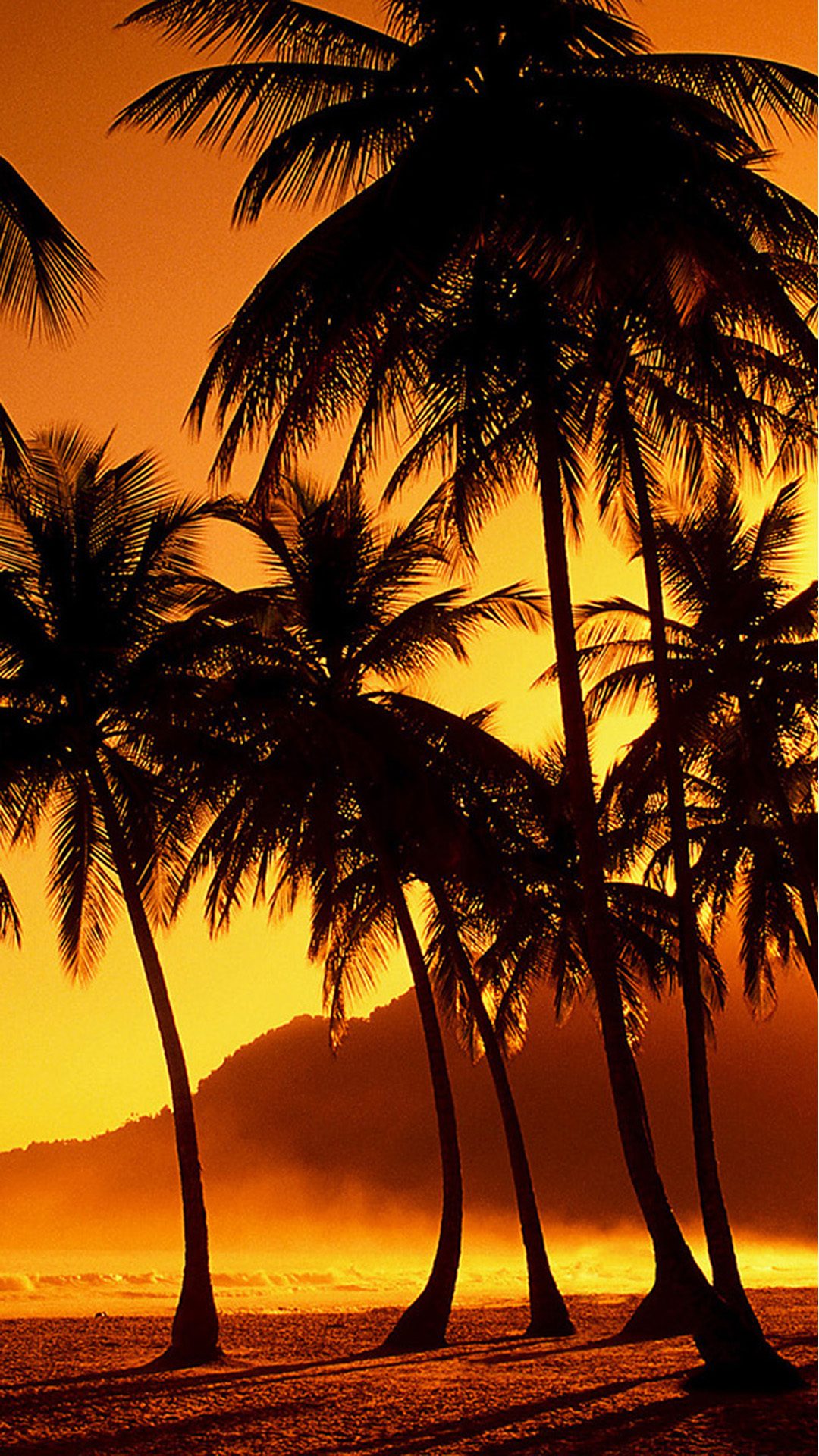 Palm Tree Sunset Iphone Wallpapers