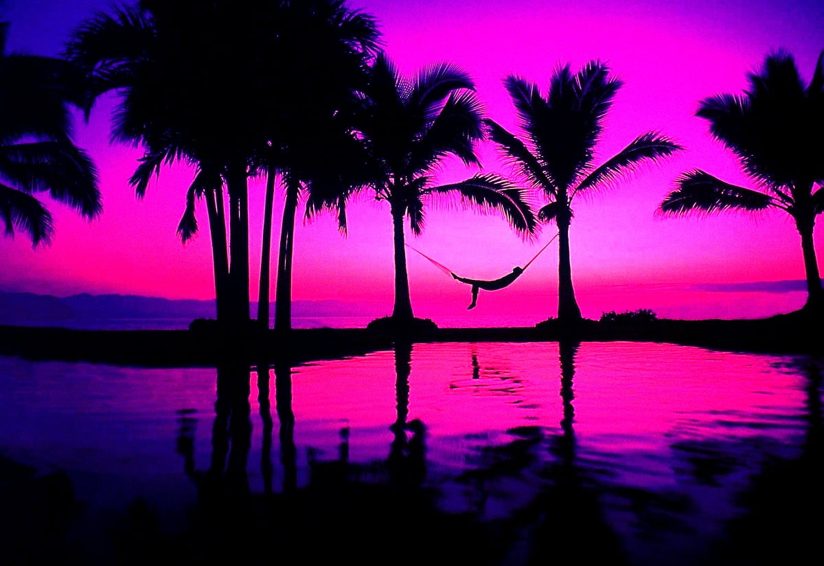 Palm Tree Sunset Wallpapers