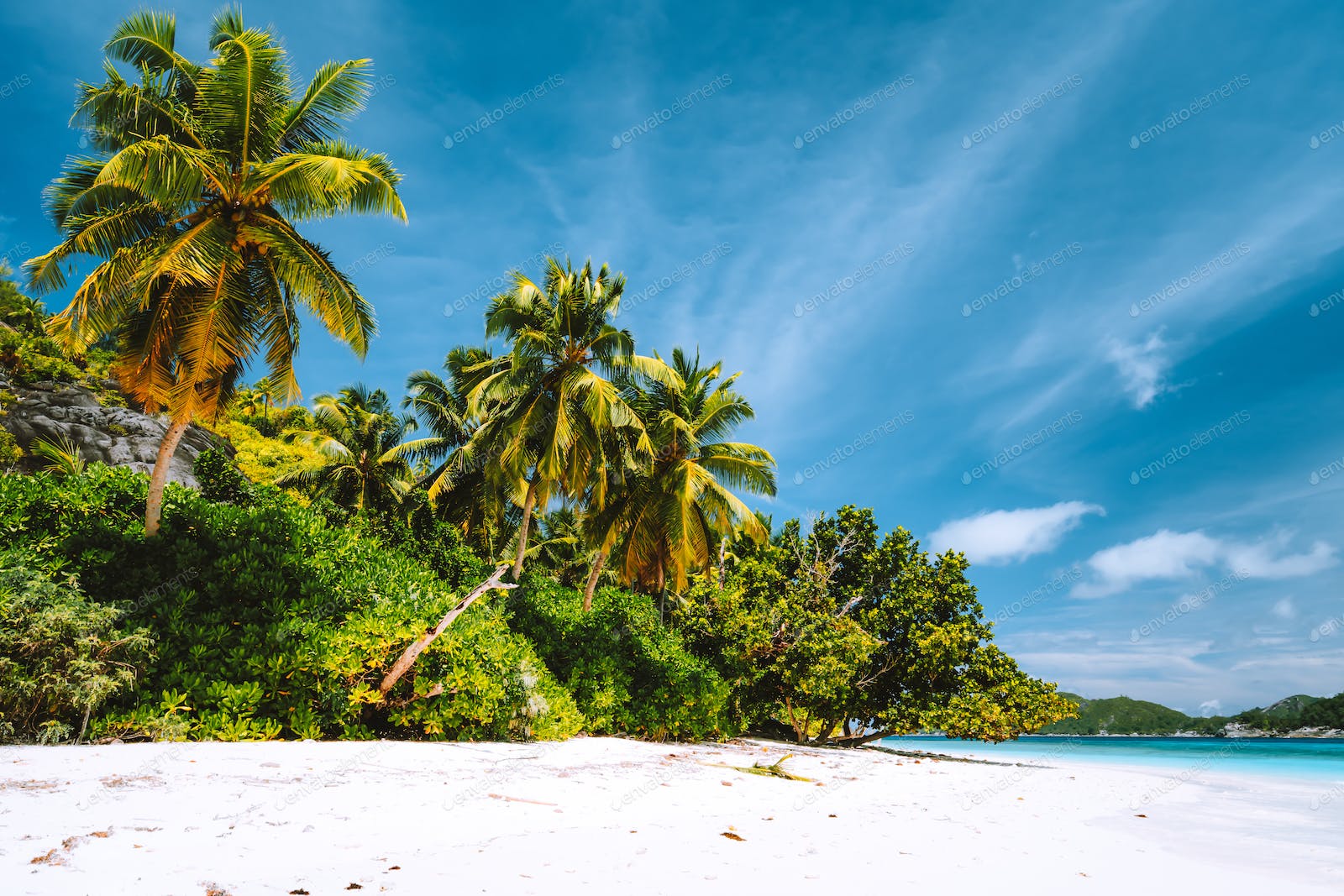 Palm Trees In The Middle Of Ocean Wallpapers