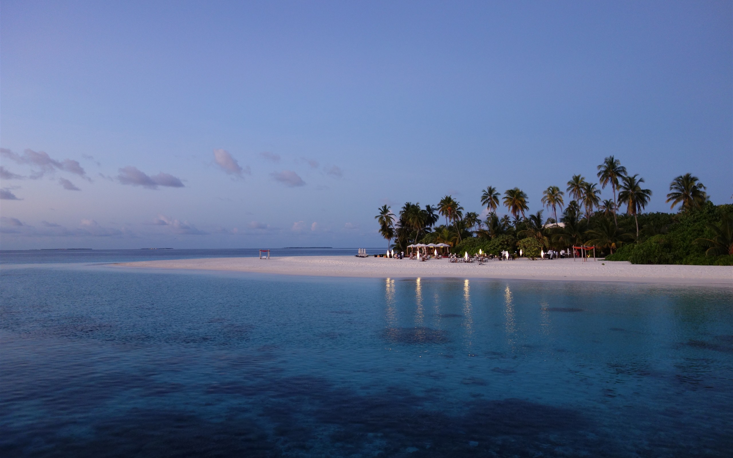 Palm Trees In The Middle Of Ocean Wallpapers